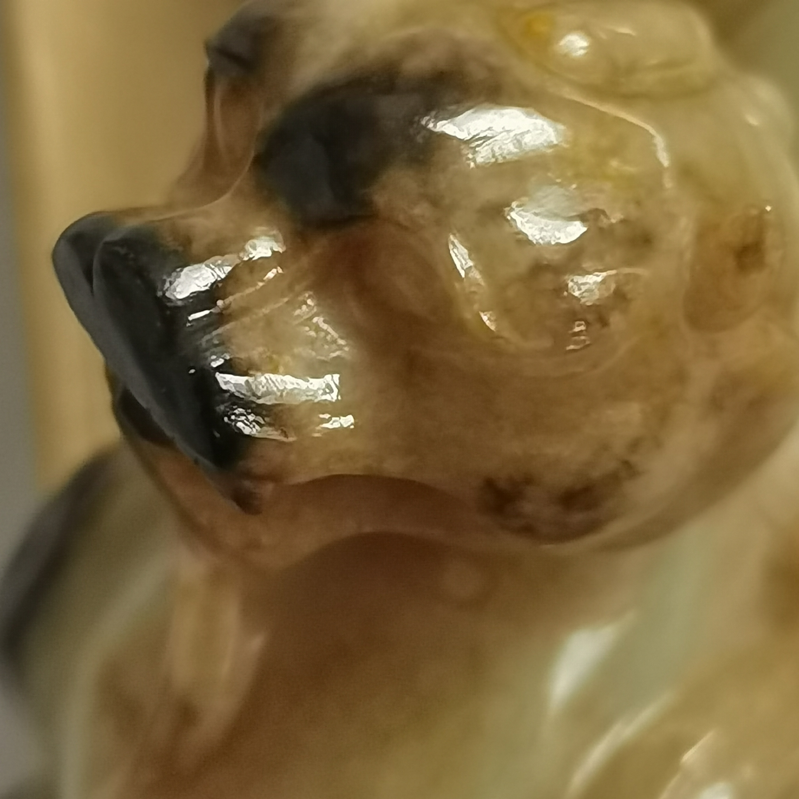 汉代神兽席镇,也叫辟邪,貔貅,形似虎,长翅,有黑浸.