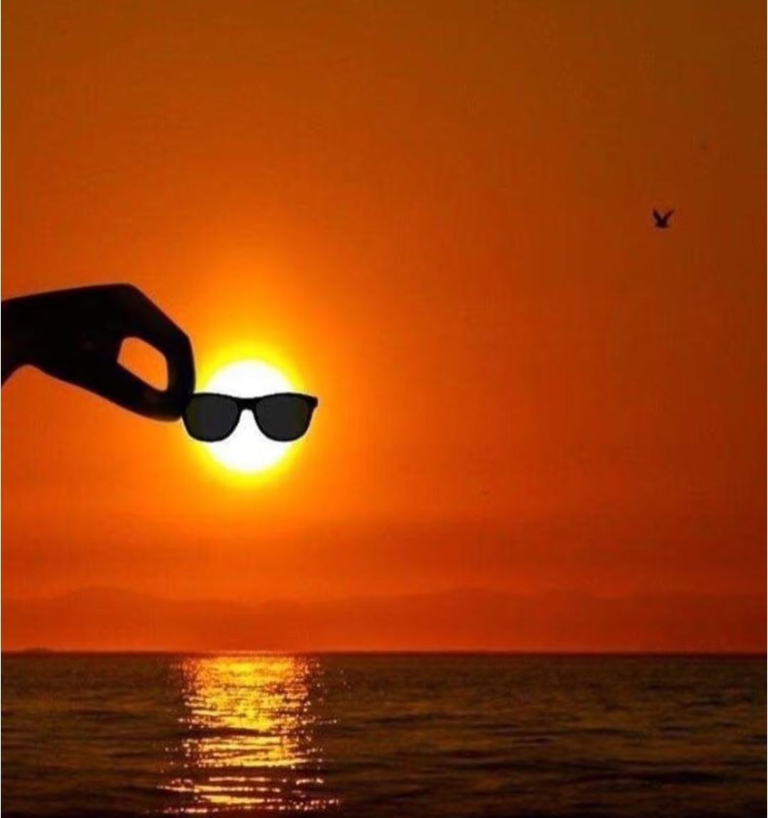 王思聪商业版图彻底崩盘,迷弟何猷君反手接盘北京寰聚成新东家