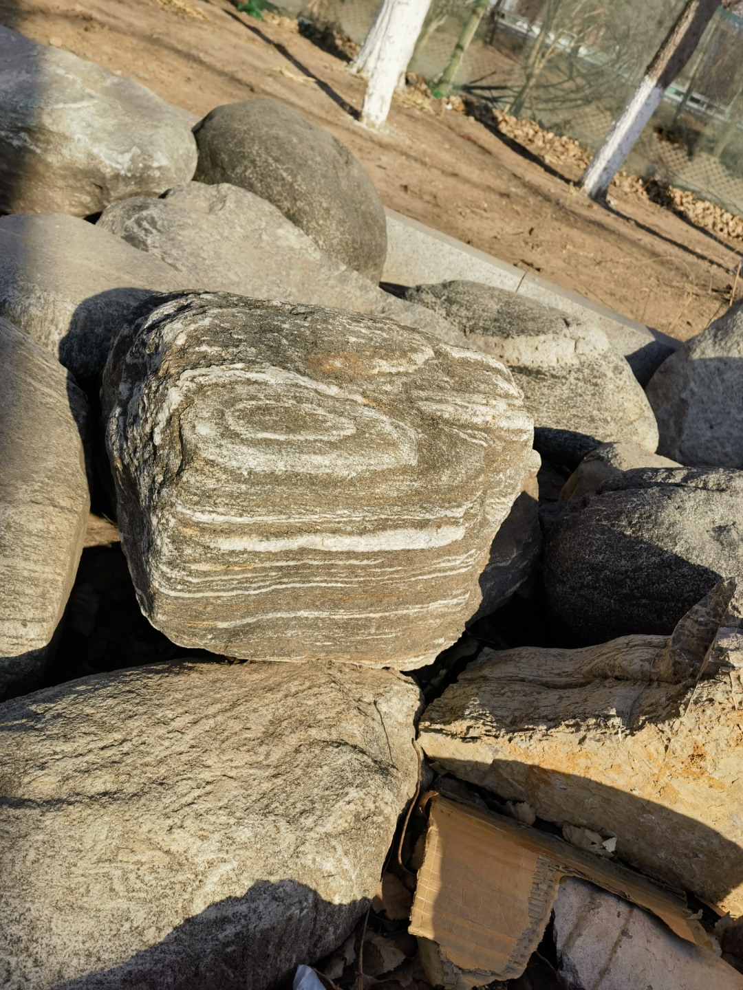 周末去郊外踏青,发现了一座巨大的岩石,它静静地矗立在公园里,周围是