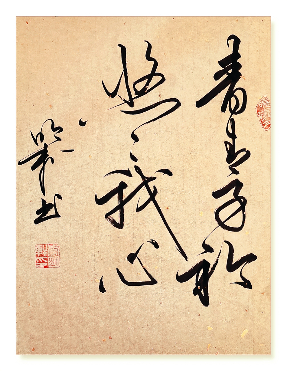 原创书法作品# #明轩原创# #草书# #八字#  青青子衿 悠悠我心