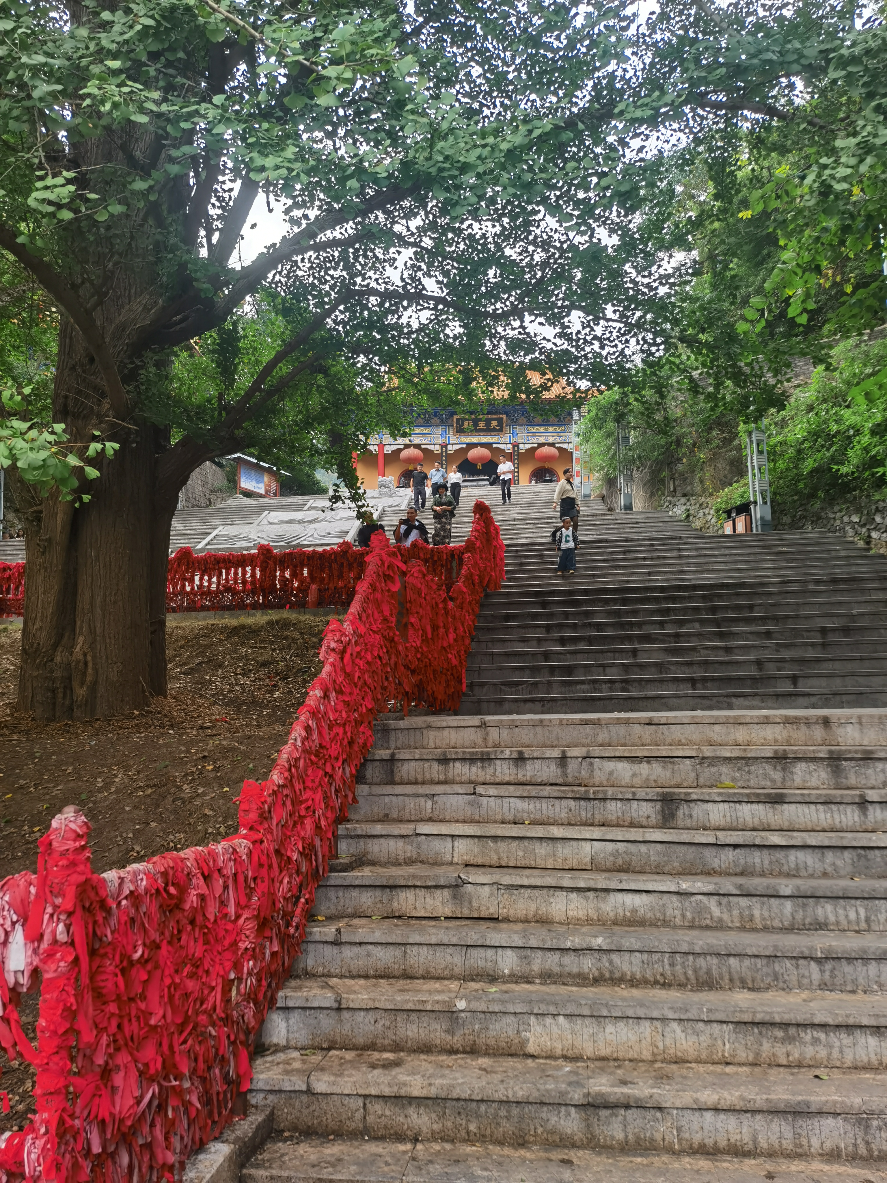 贵州惠水九龙寺图片