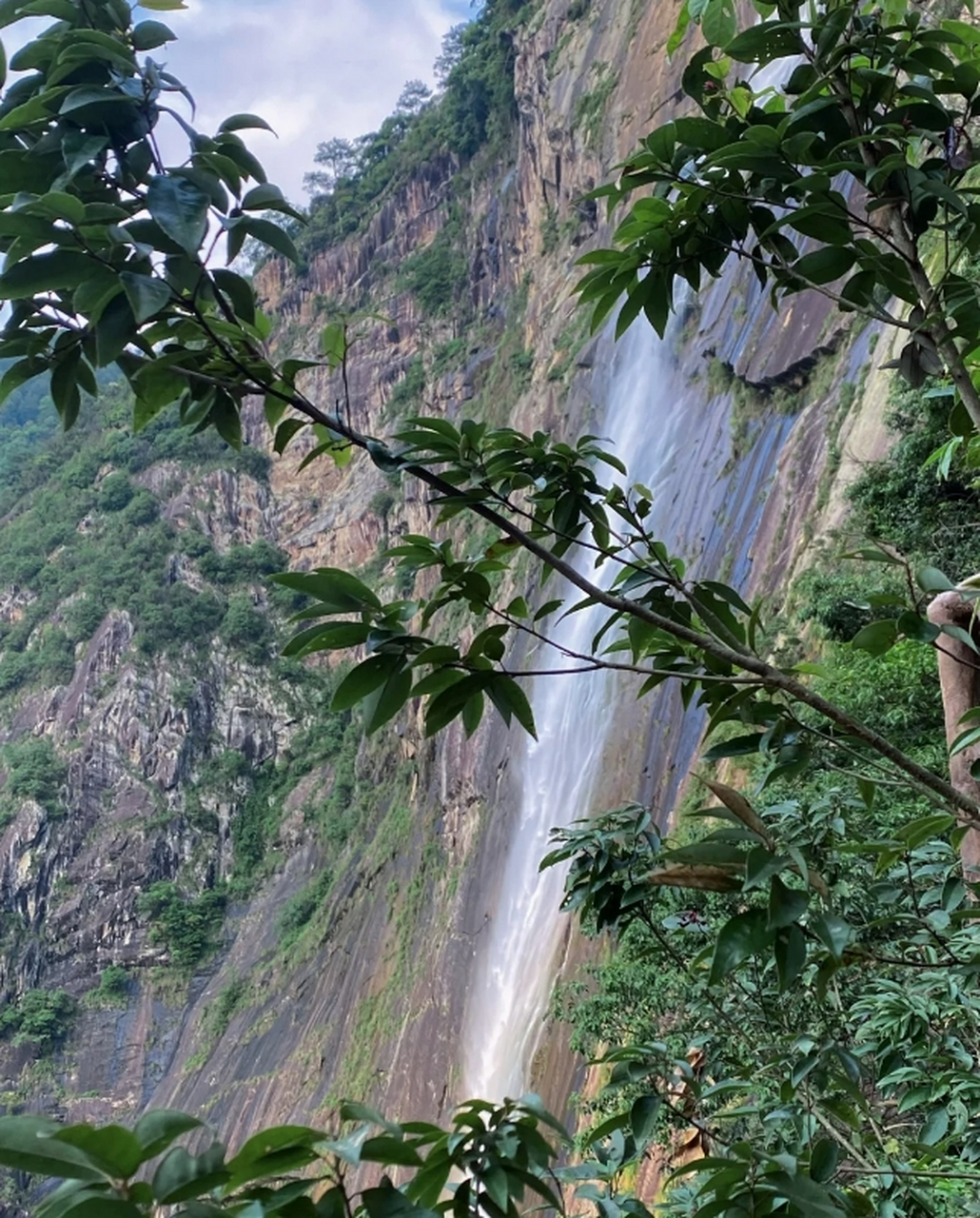 德化石牛山风景区温度图片