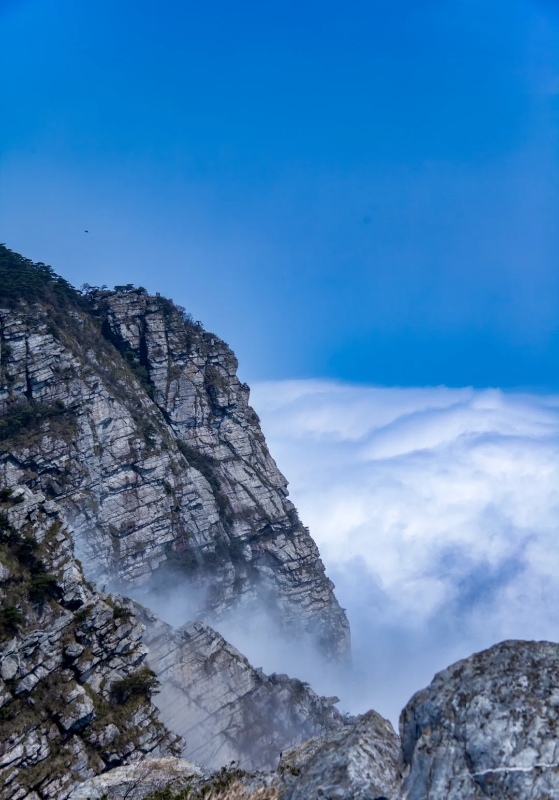 江西四大 名山不包 括庐山相关图片2