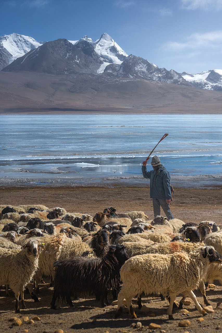 有一牧羊人张三,年近40,未曾婚配.