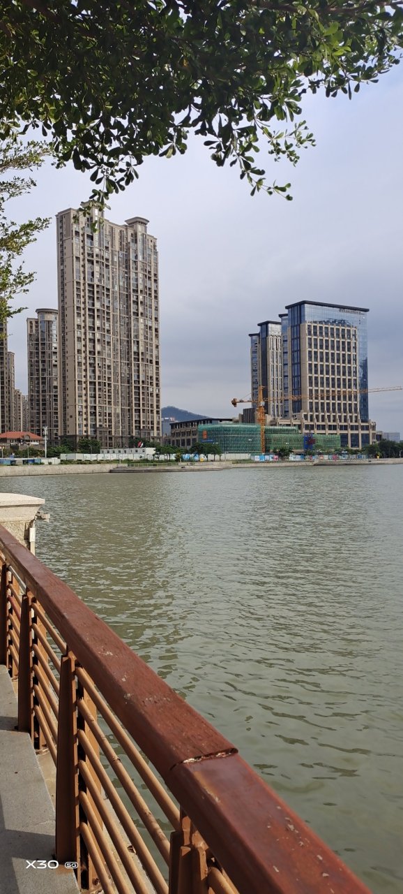 1952年出生在鼓浪屿的许斐平,被认为是中国钢琴界少数的几个天才之 一