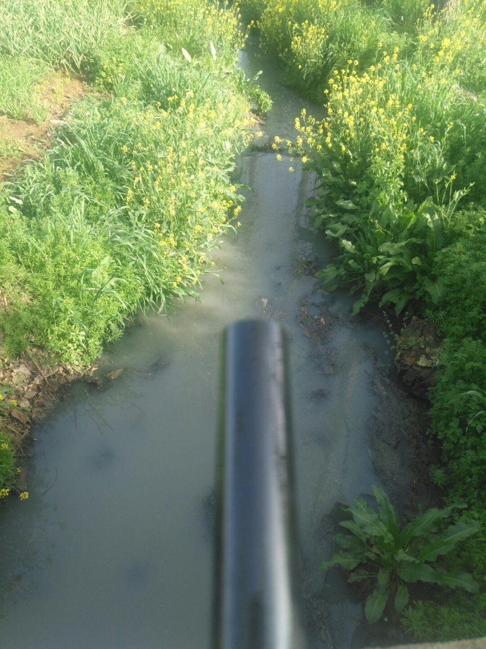 春风吹开心门, 带上久违的鱼竿 迈出轻盈的脚步, 去寻找一条溪流.