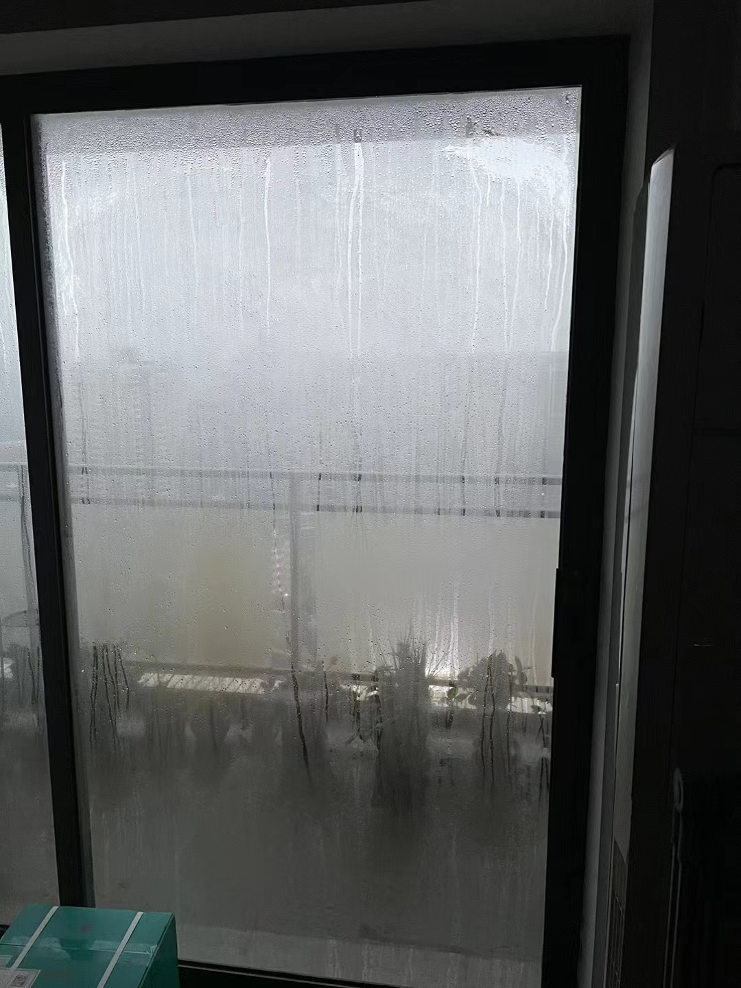回南天,潮湿又闷热, 像一层薄雾,笼罩在每个角落