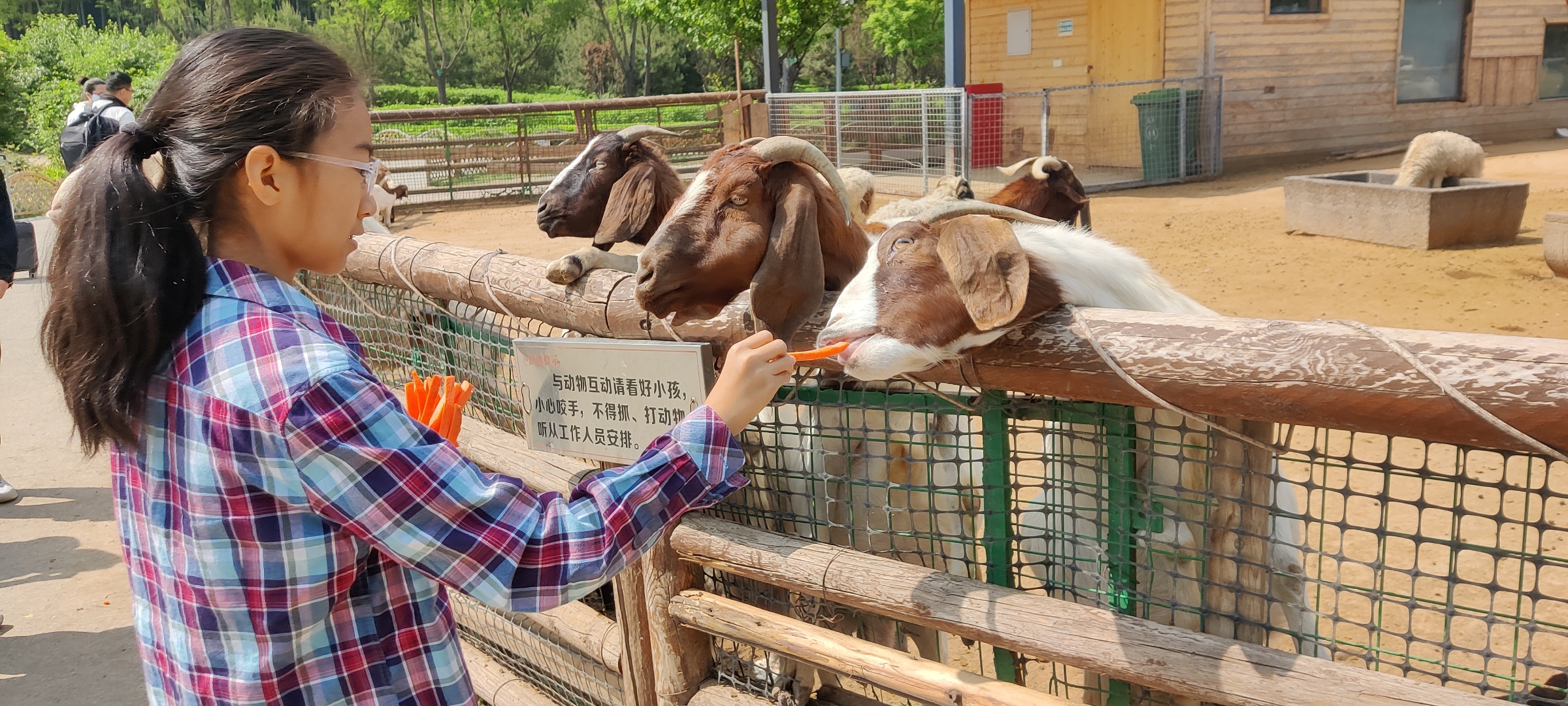 这次尝试的体验真的太棒啦!