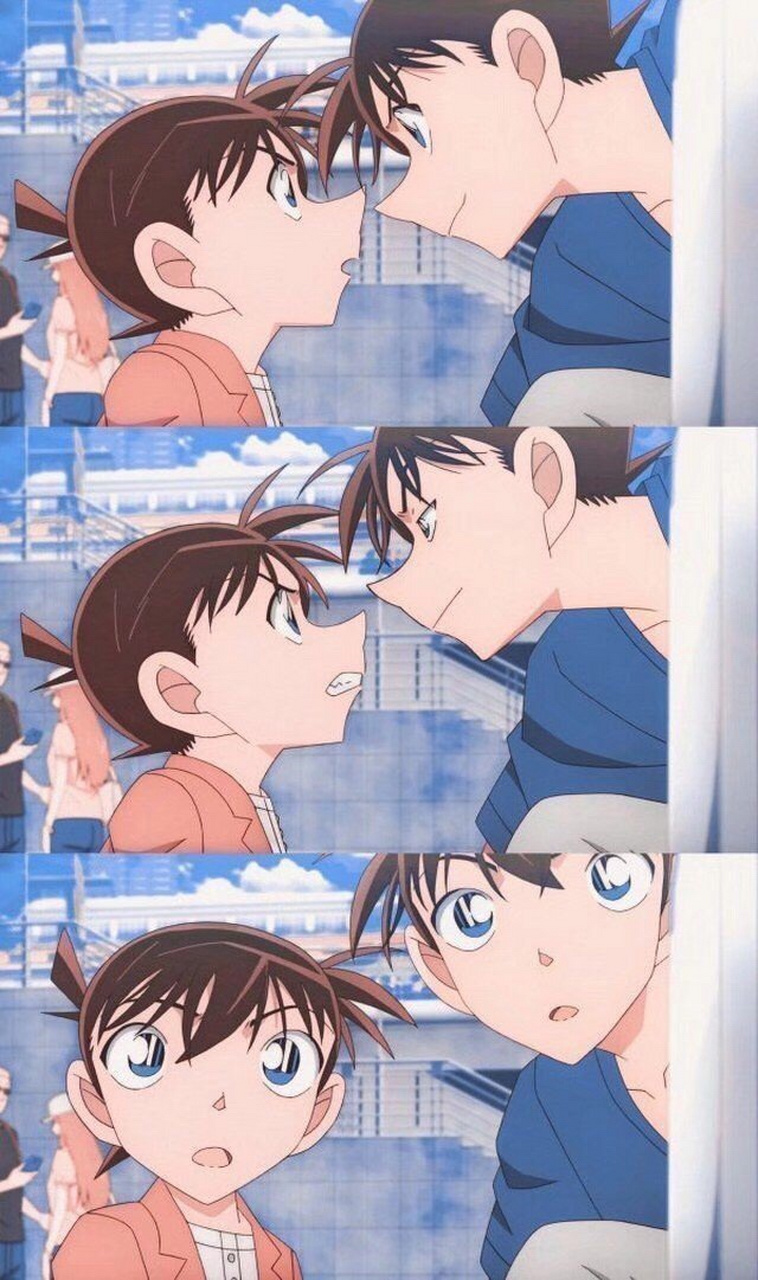 柯基党的注意了 你一定不知道他们有这层关系