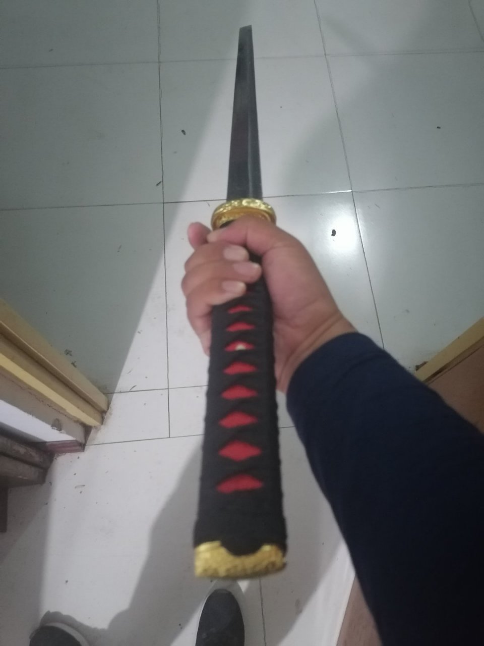 长刀已出鞘,誓必饮血归.岂是当年胡虏肉,安能赤血龙骑座.