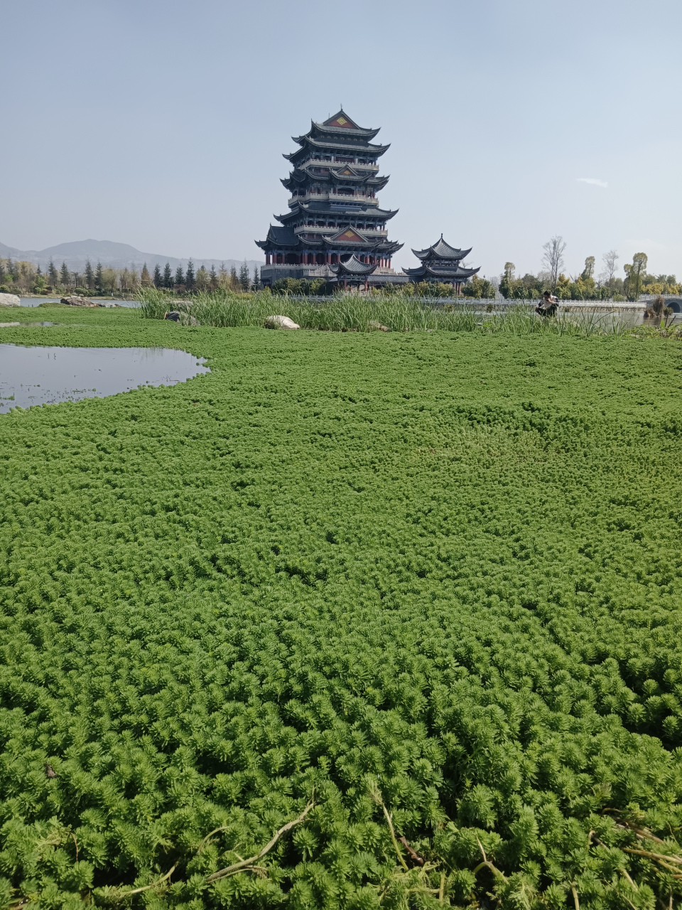 保山清华湖风景太美了.[赞同][赞同][心][心]