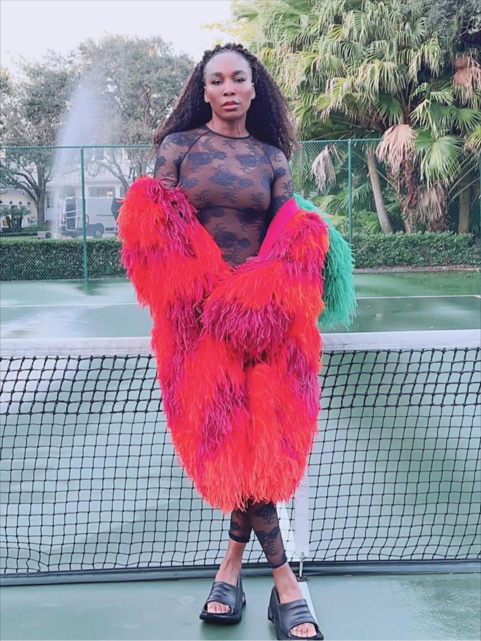 美学引领者,大威廉姆斯