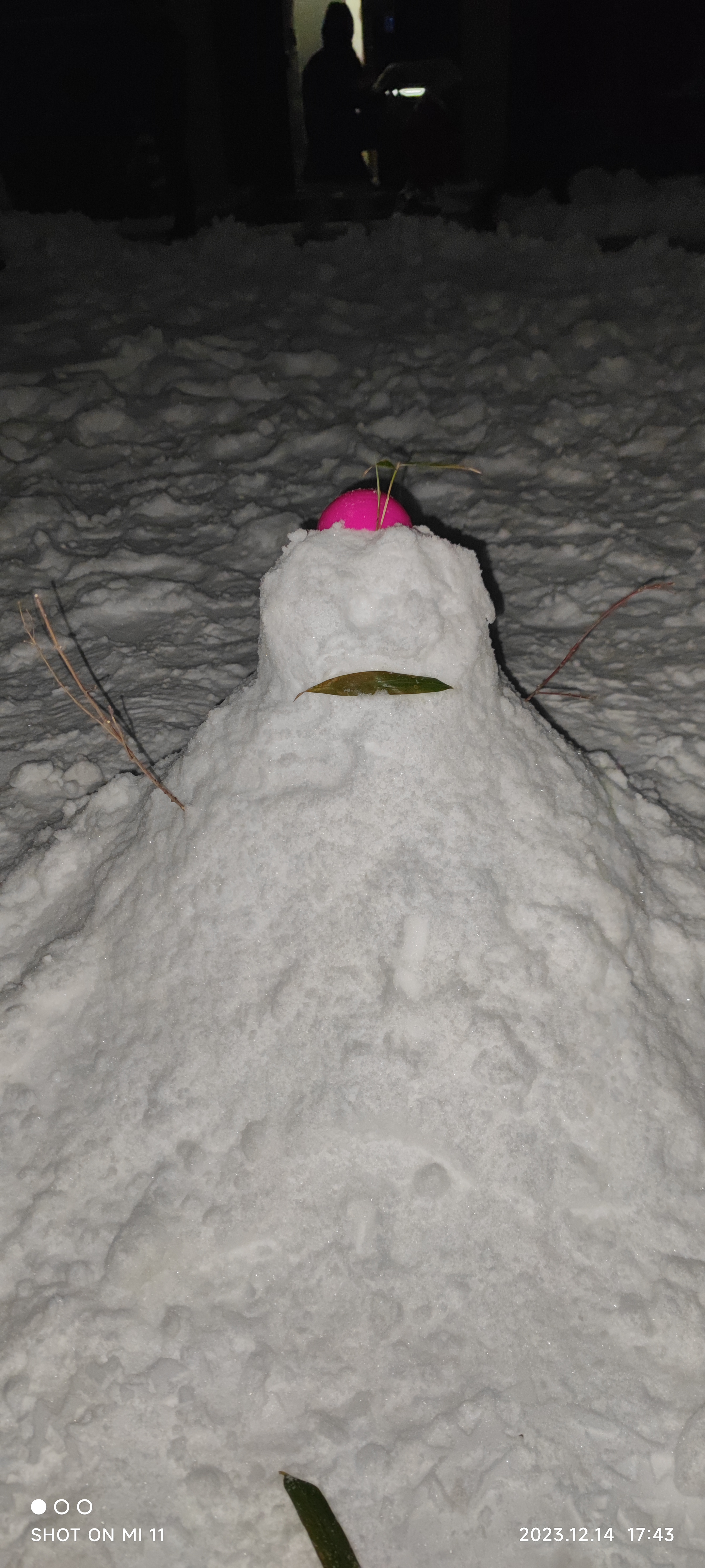 河北大雪 今天