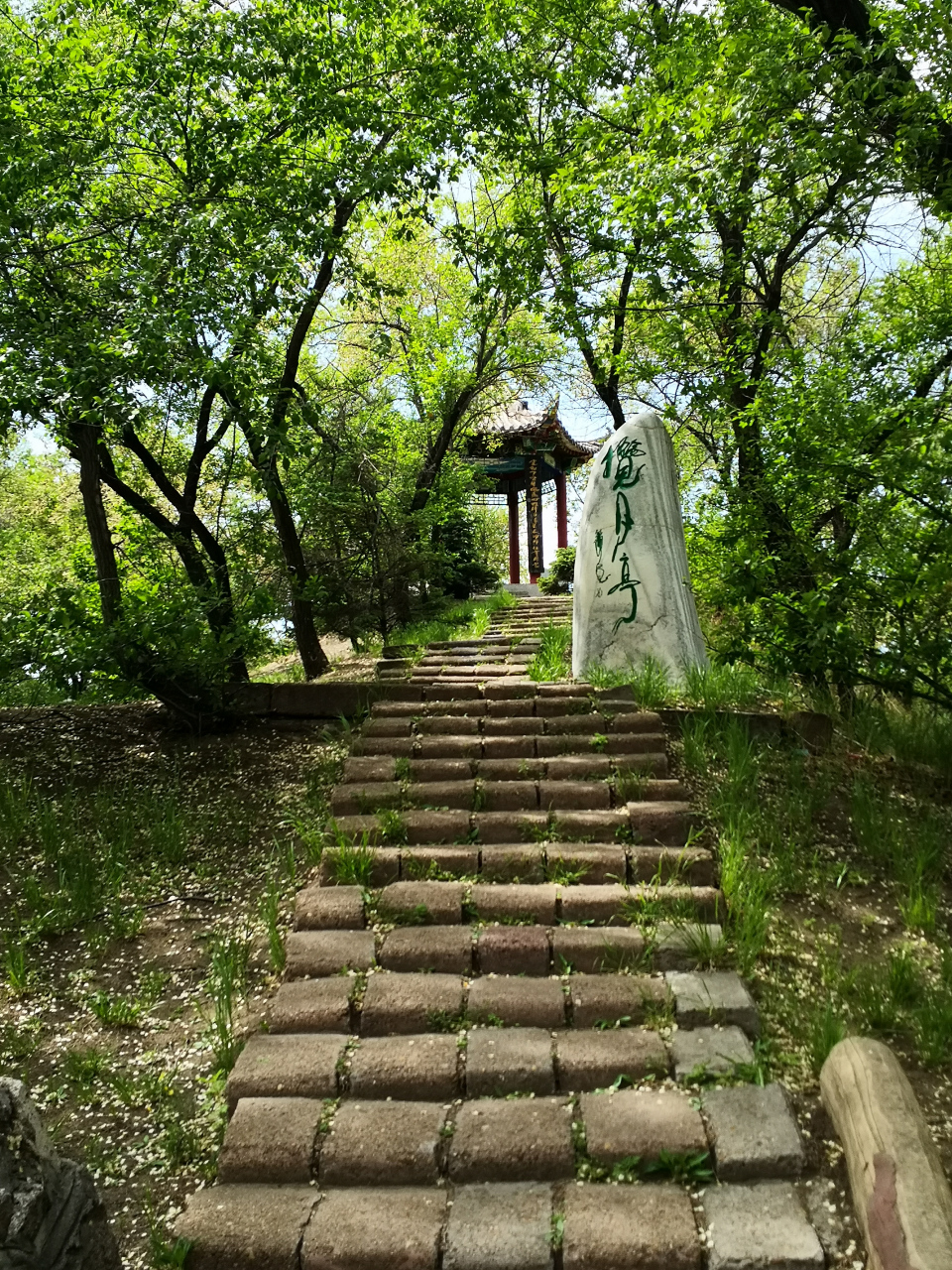 齐齐哈尔市龙沙公园 免费的aaaa景区,夏日旅居避暑绝佳胜地