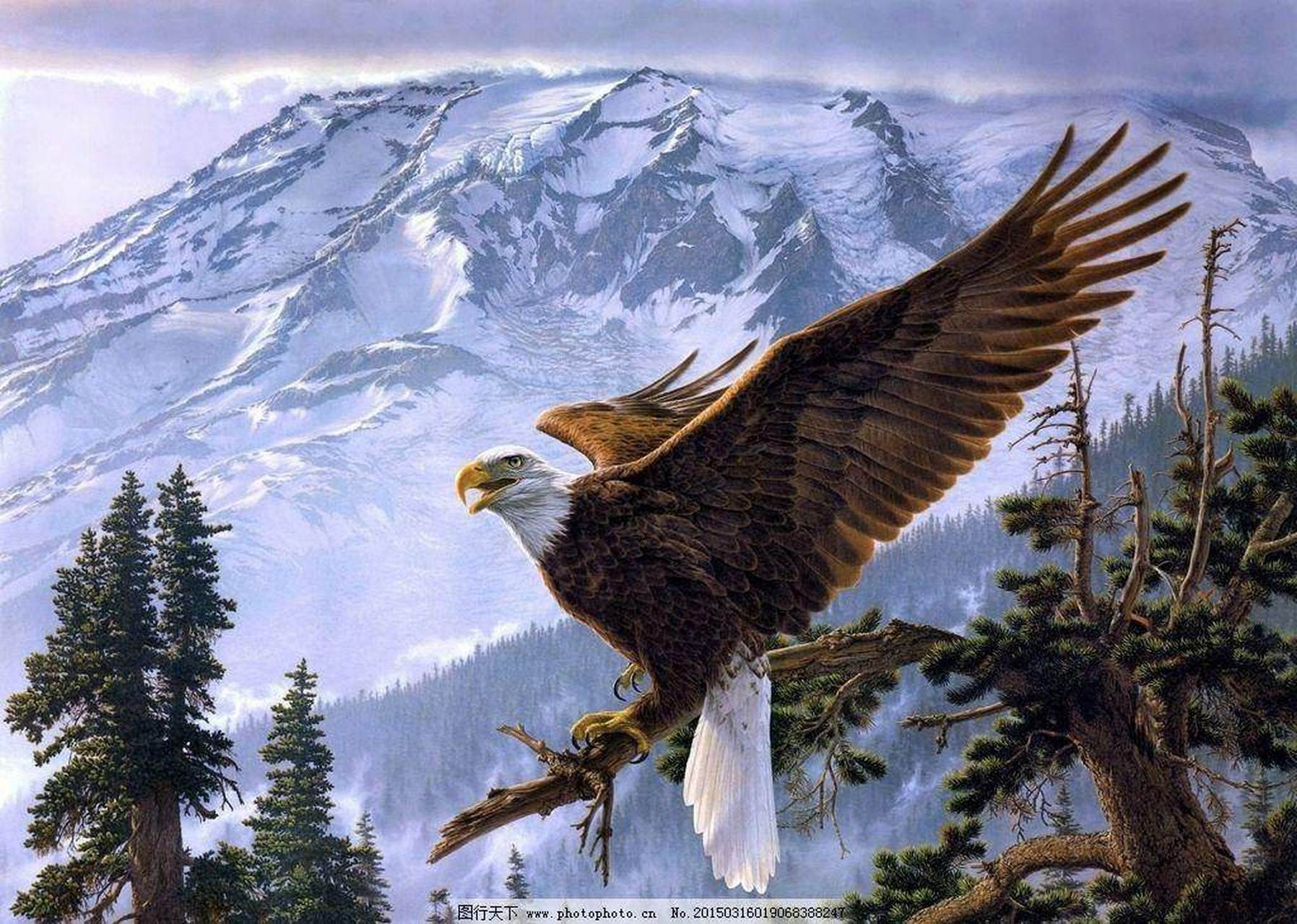 过犹不及,物极必反  事情做得过头就跟做得不够一样,事情发展到极致