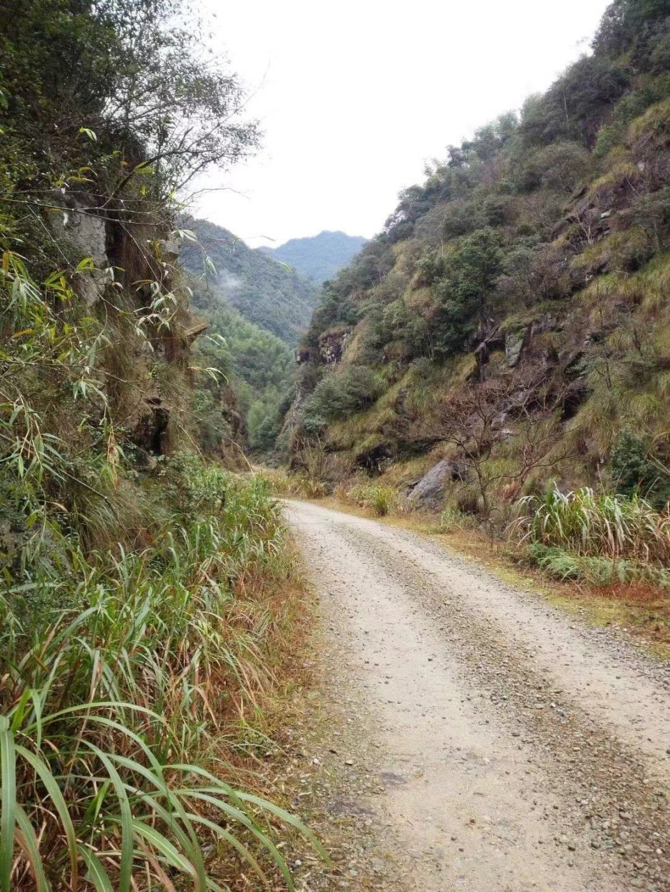 武夷山岚谷乡图片