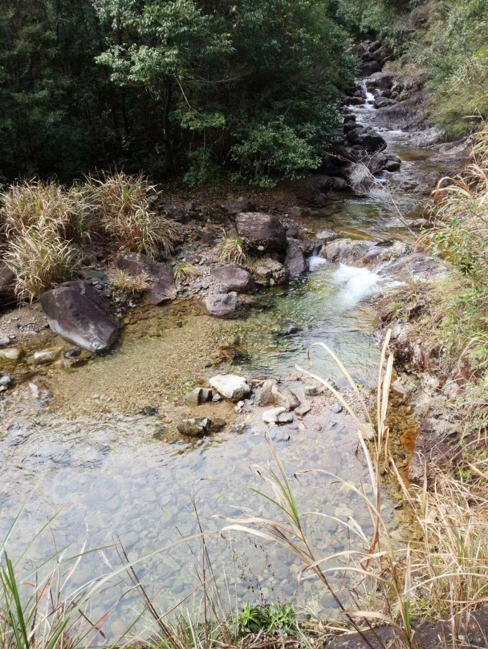 武夷山岚谷乡图片