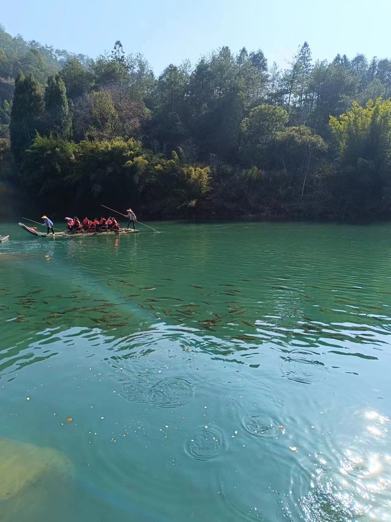 武夷山红眼鱼图片