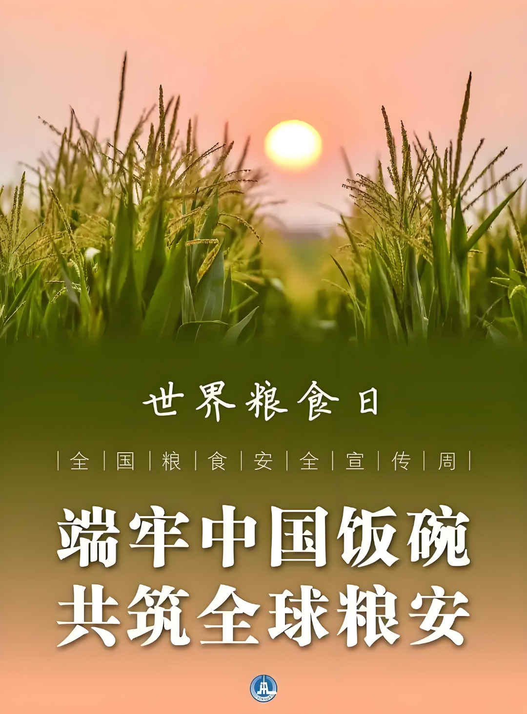 国际新闻的网站(国际新闻网站中文版)