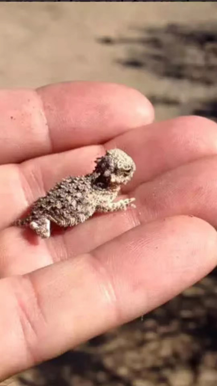 【江桦- 诗人百科 -全球诗人的百科分享社区】