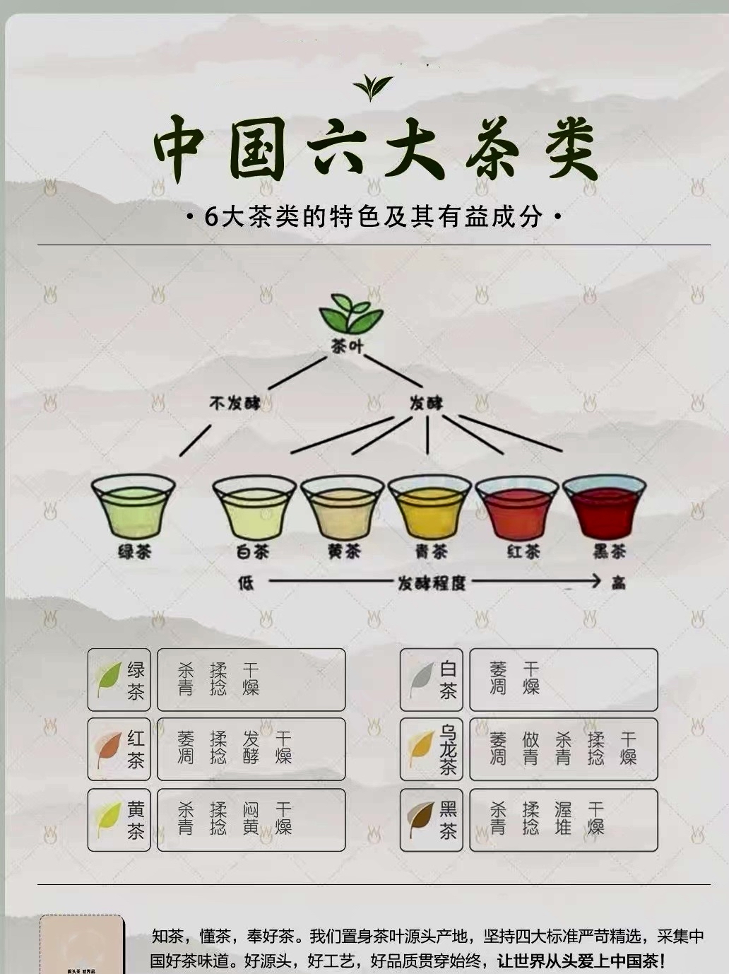 包括不发酵,发酵等程度不同的绿茶,白茶,黄茶,青茶,红茶和黑茶