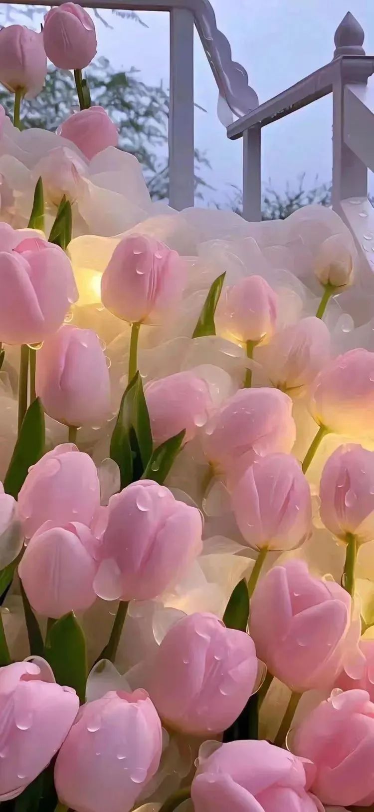 少女心爆棚 粉色系全屏壁纸#壁纸# #春节连更计划