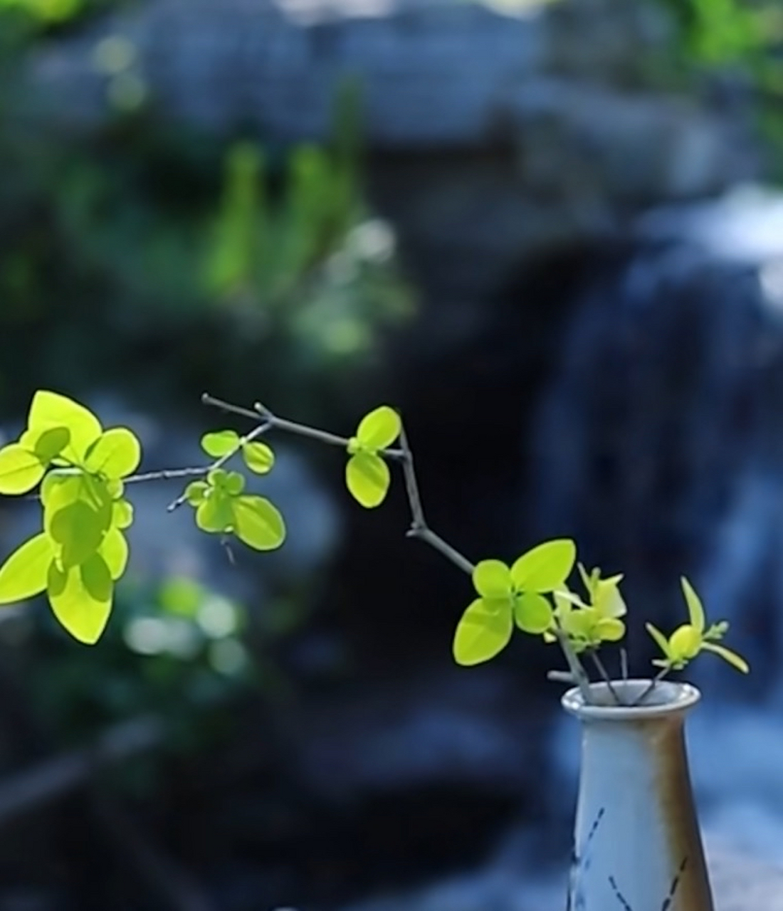 雾  雾起藏松影,风轻露鸟声. 林疏不见日,岭峻难为峰.