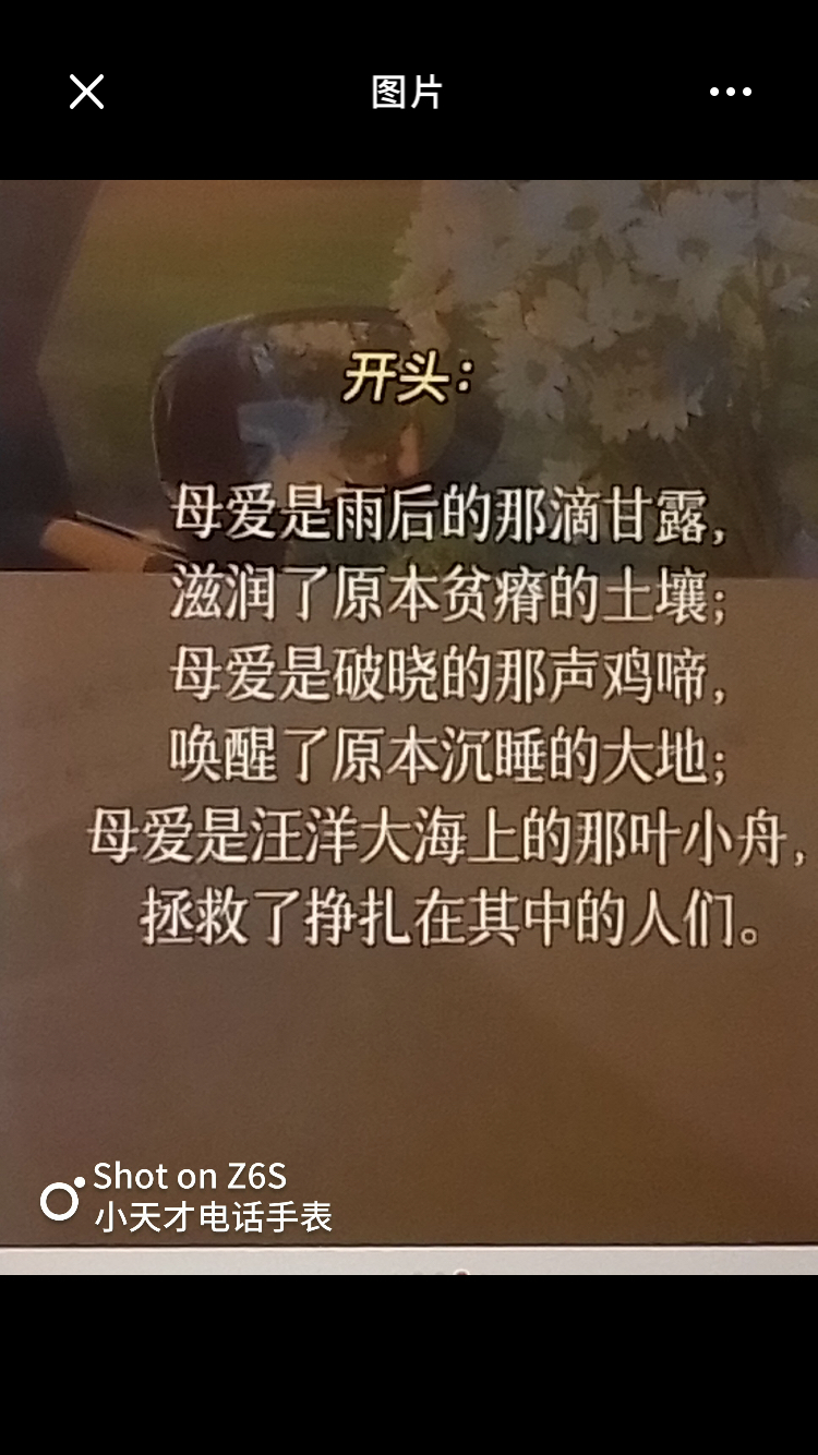 伟大的母爱