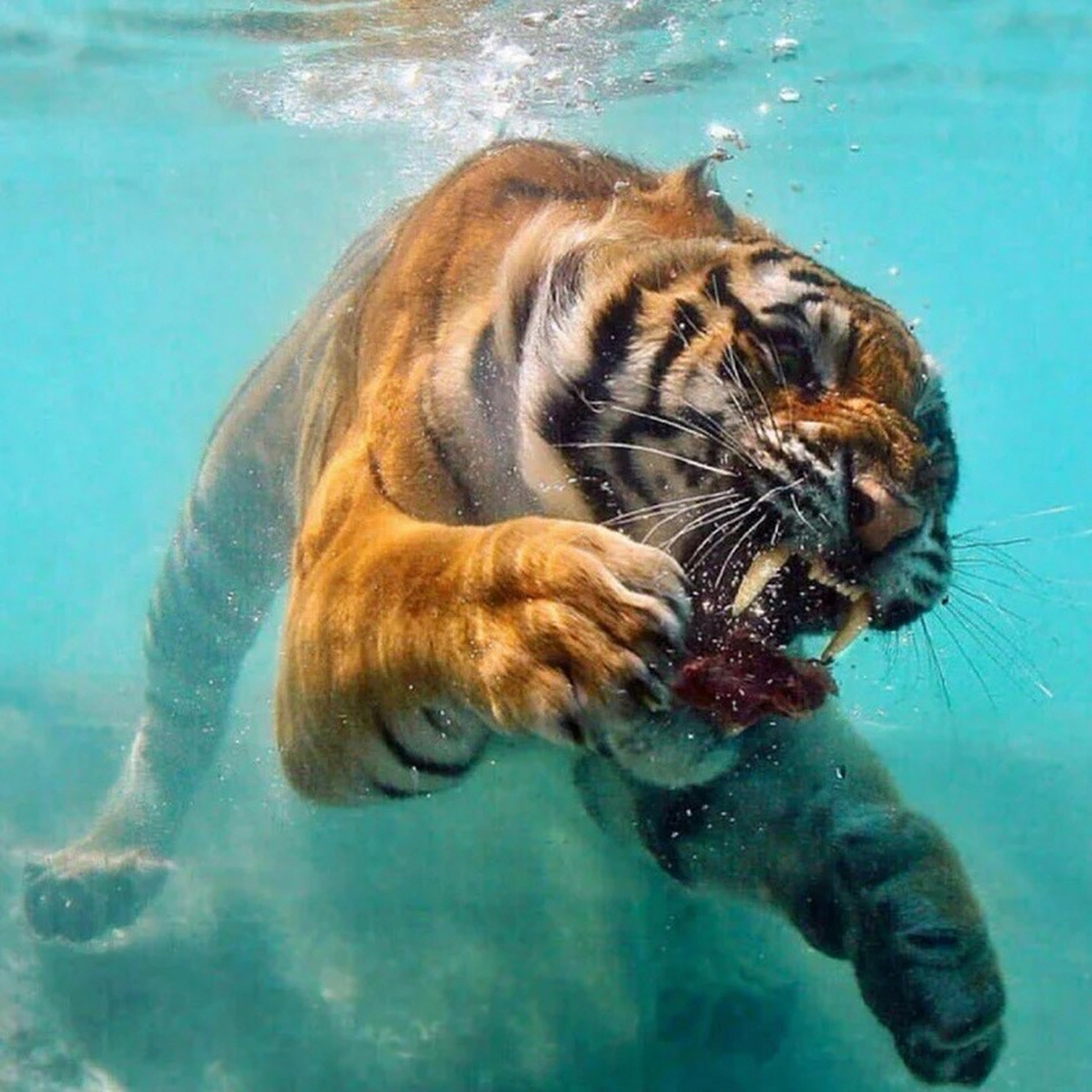 有事问度娘准没错,方便快捷.