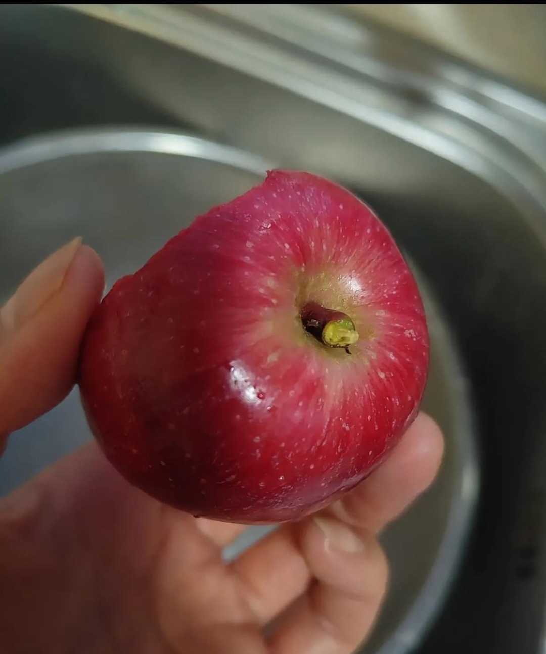 一口咬下去.这苹果里面怎么变红了?这还能不能吃?有没有网友懂的?