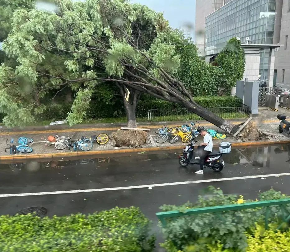 2025年4月11日至13日,北京遭遇极端大风天气
