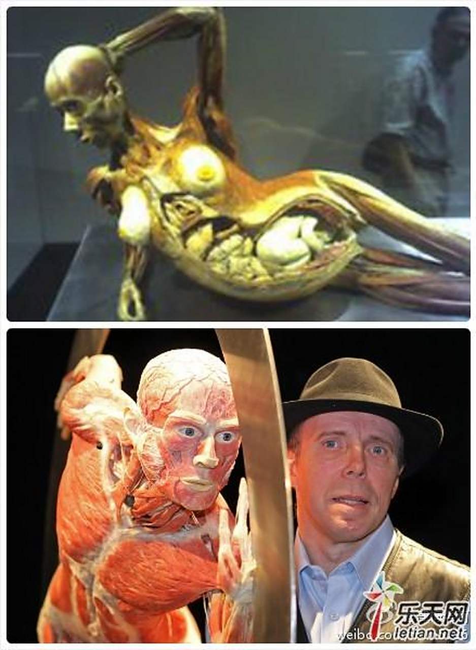 解剖: 将尸体容易腐蚀的部分逐1清