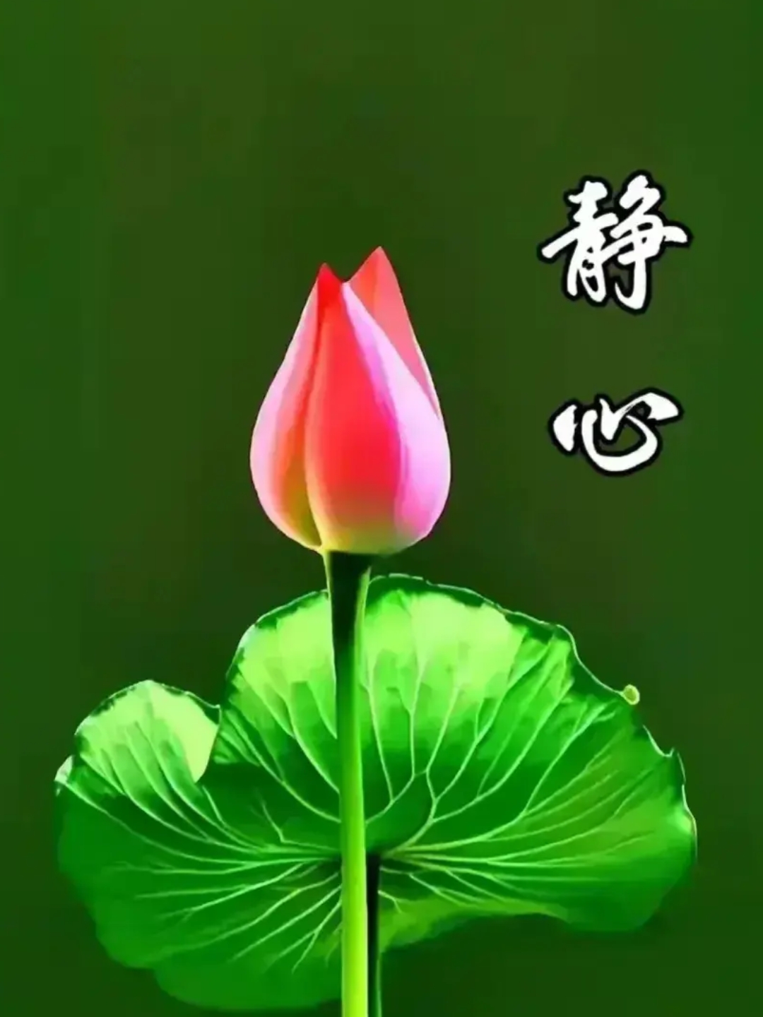 然而,何为修心的至高境界?