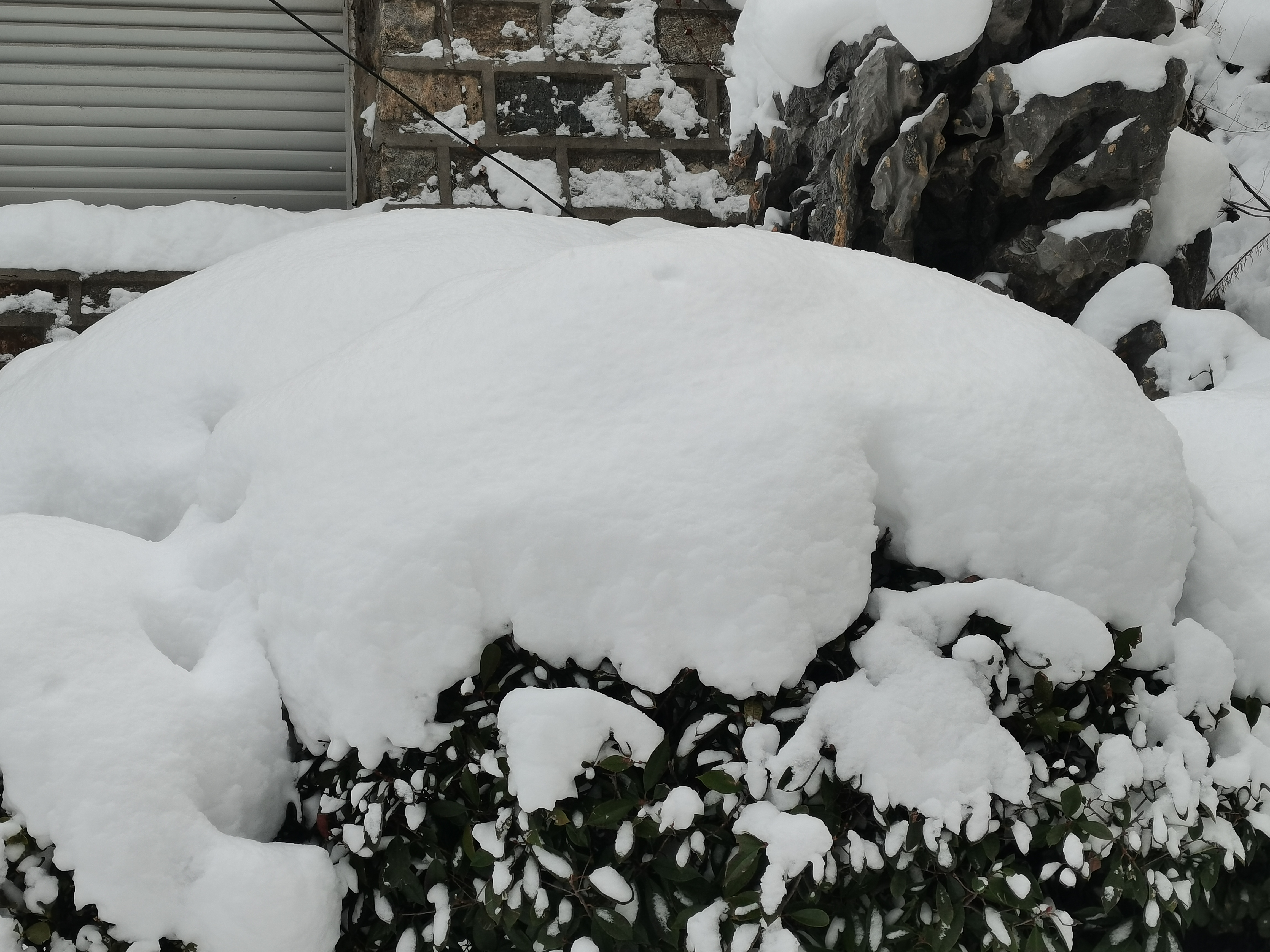 霭霭白雪图片