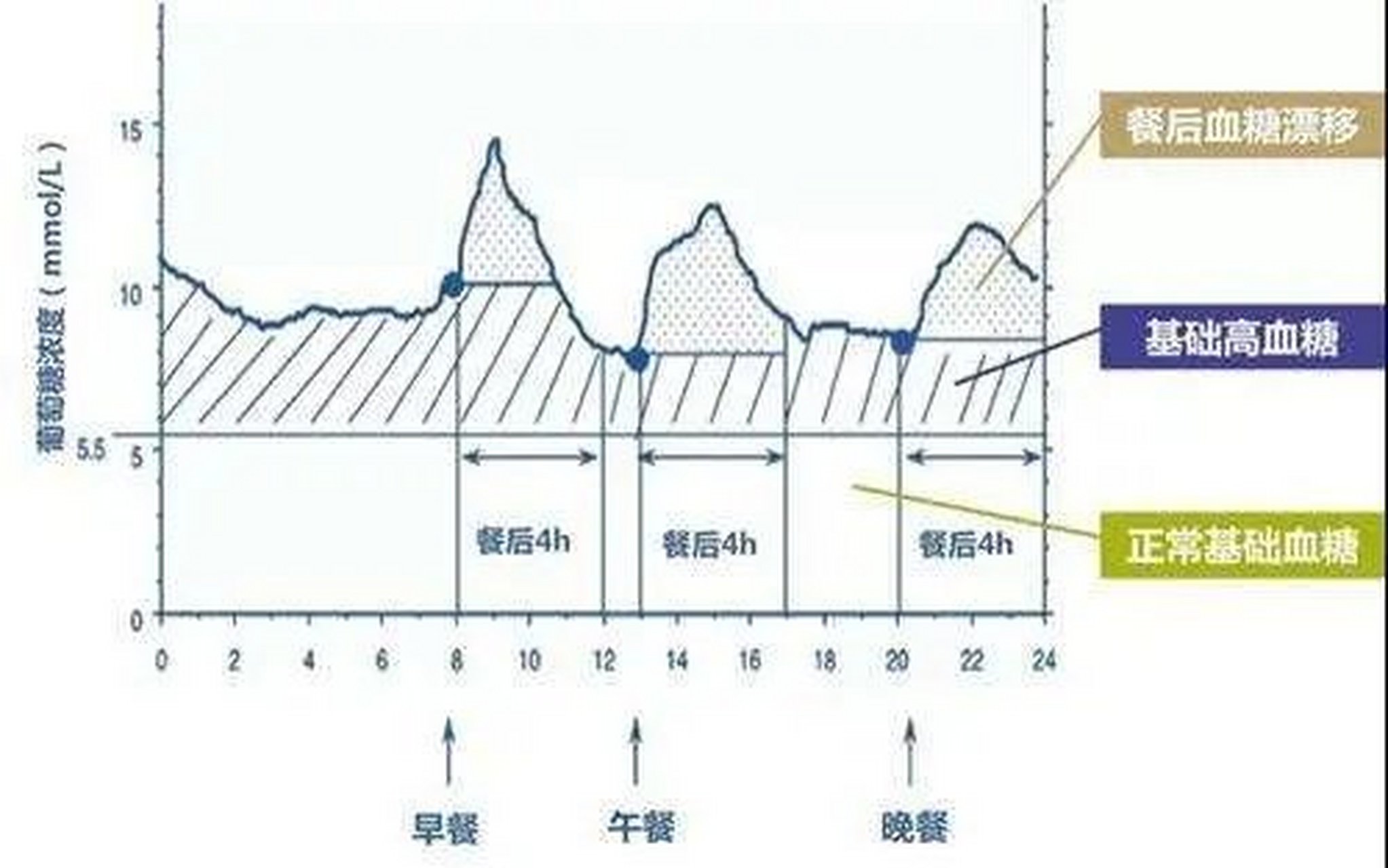 如果把我们一天的血糖变化连成一条曲线,空腹血糖代表了我们的基础