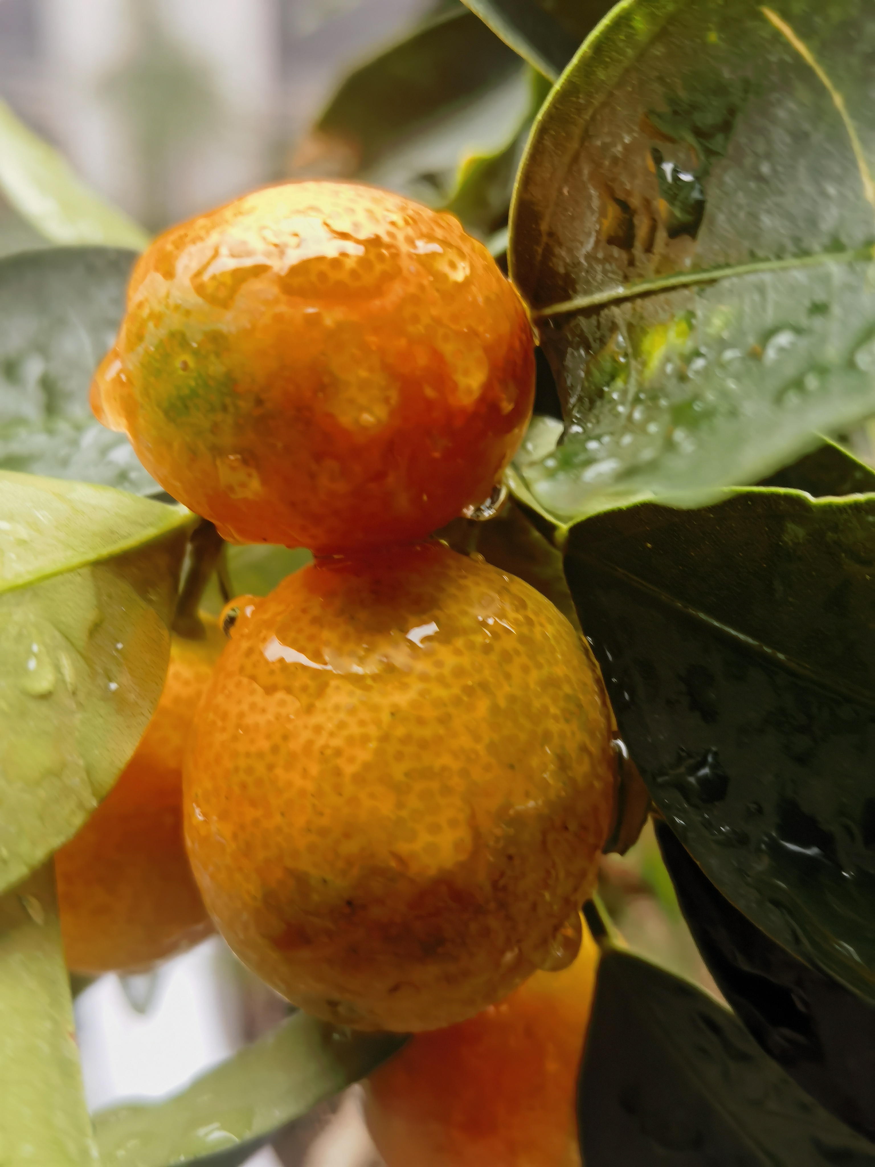 提高英语成绩需要多方面的努力,以下是一些建议: