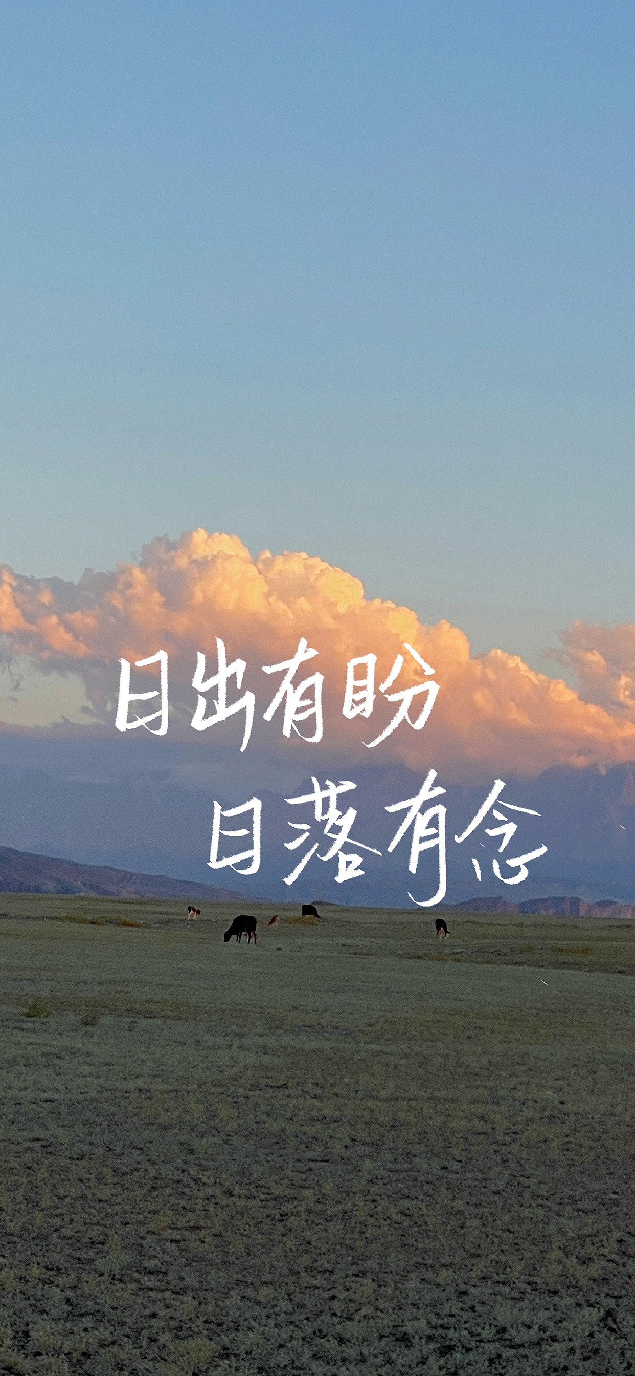 温柔要有,但不是妥协,我们要在安静中,不慌不忙的刚强. -- 林徽因  2.