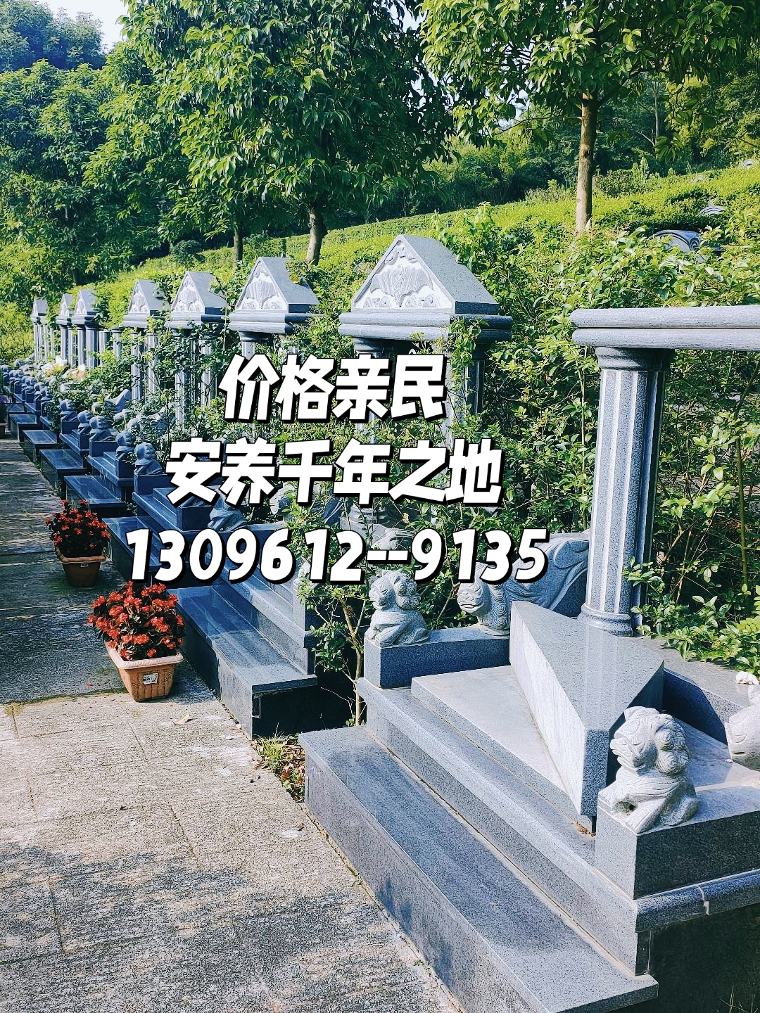 价格亲民,管理规范,山环水抱好福地#公墓#公墓# 陵园#九龙山公墓