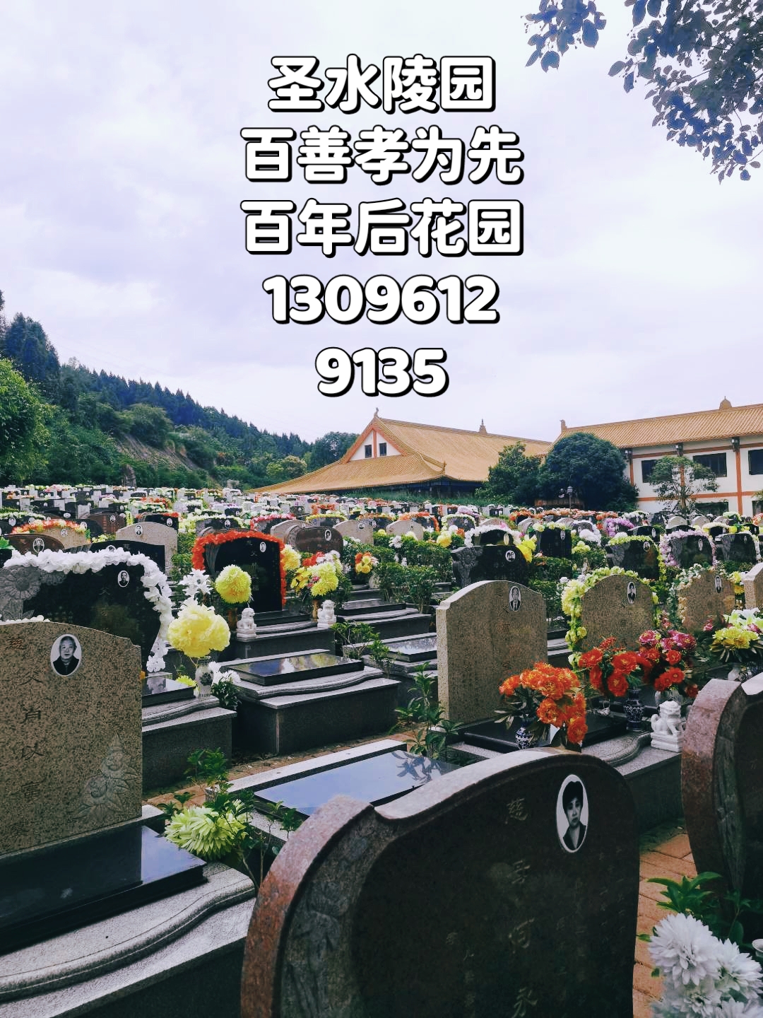 绵阳市公墓陵园有:圣水陵园公墓,九龙山陵园公墓,金罗汉陵园公墓,金山