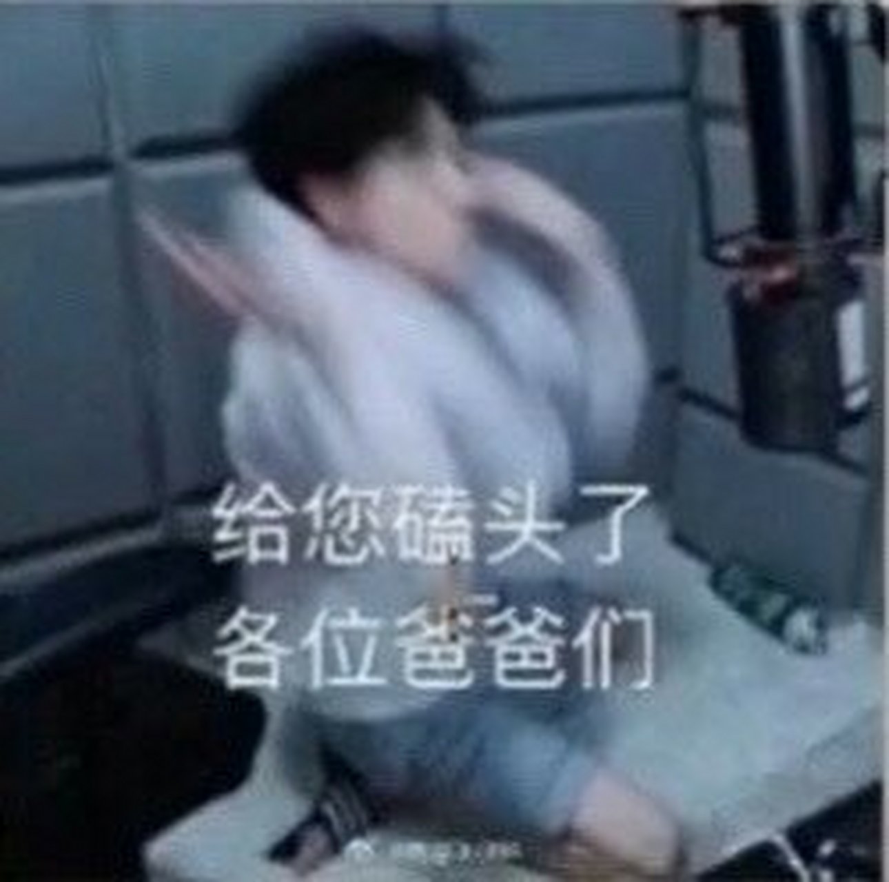 蛋白表情包,哈哈哈……笑死我了[滑稽] 最后问一个问题,蛋糕怎么做?