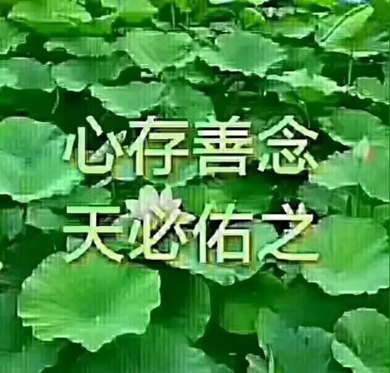 人有善念,天必佑之.