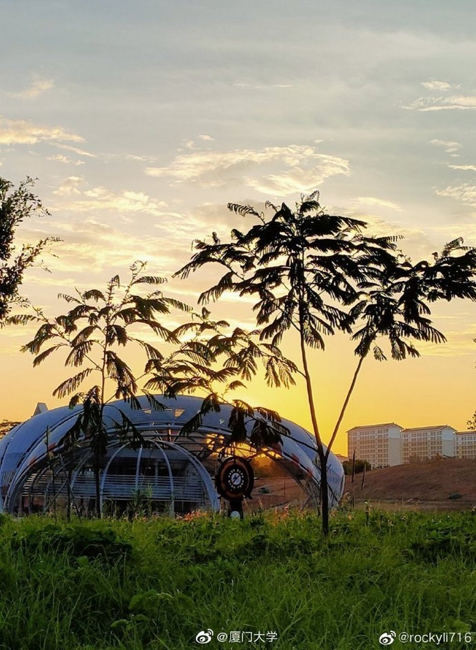 热词:   灭活疫苗 :inactivated vaccine   有效性和安全性研究