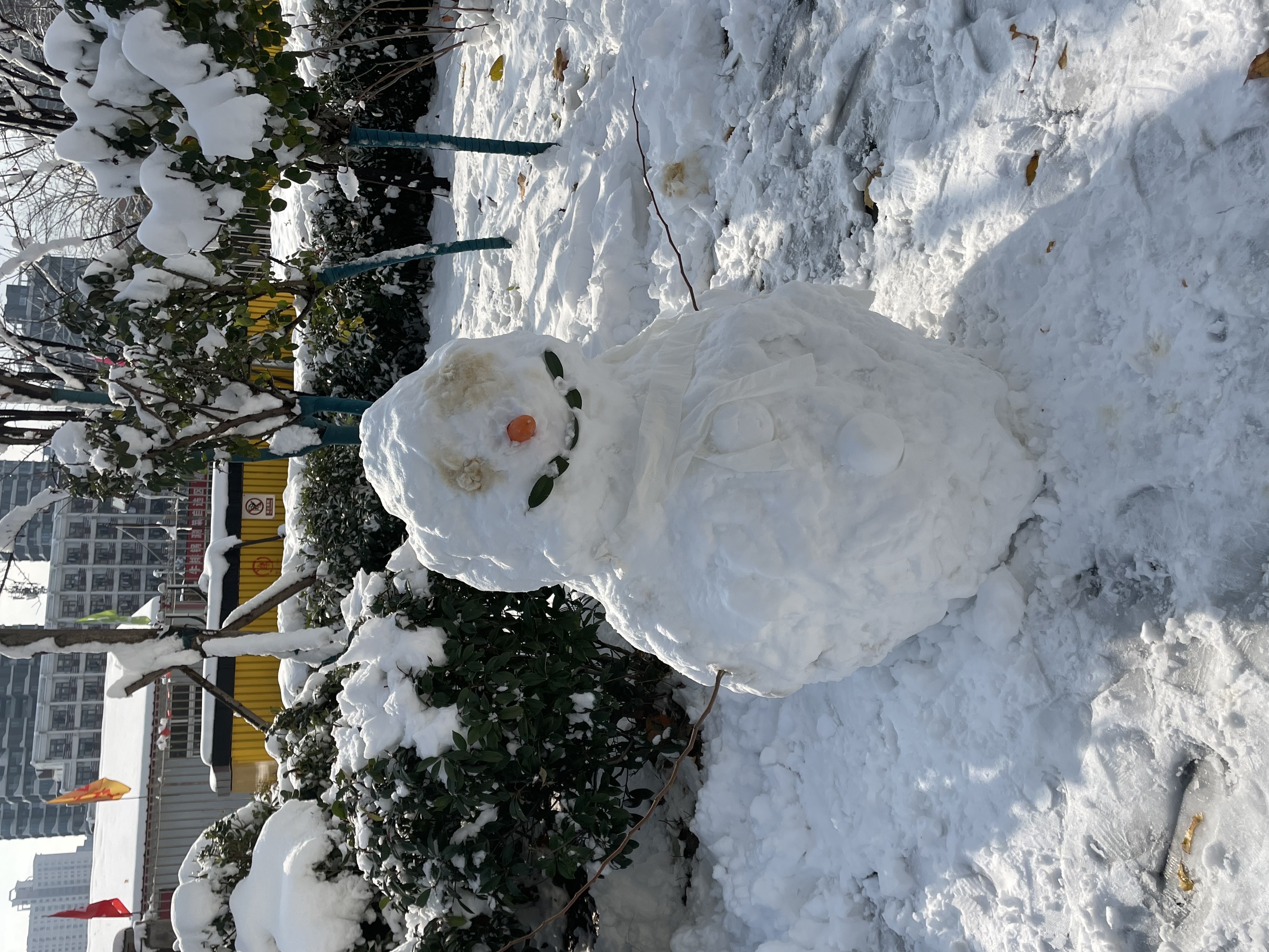 雪人实景图片