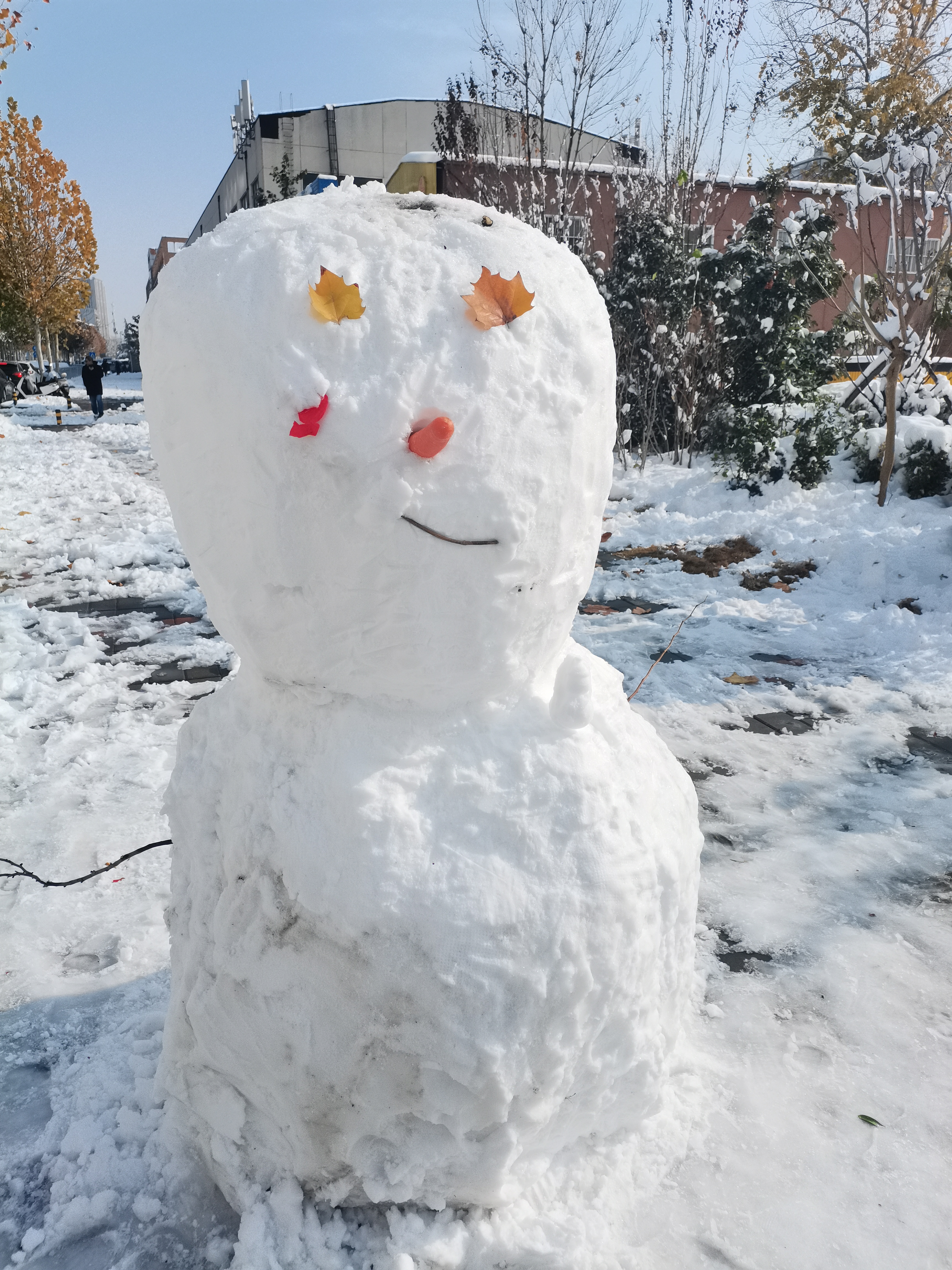 雪人实景图片