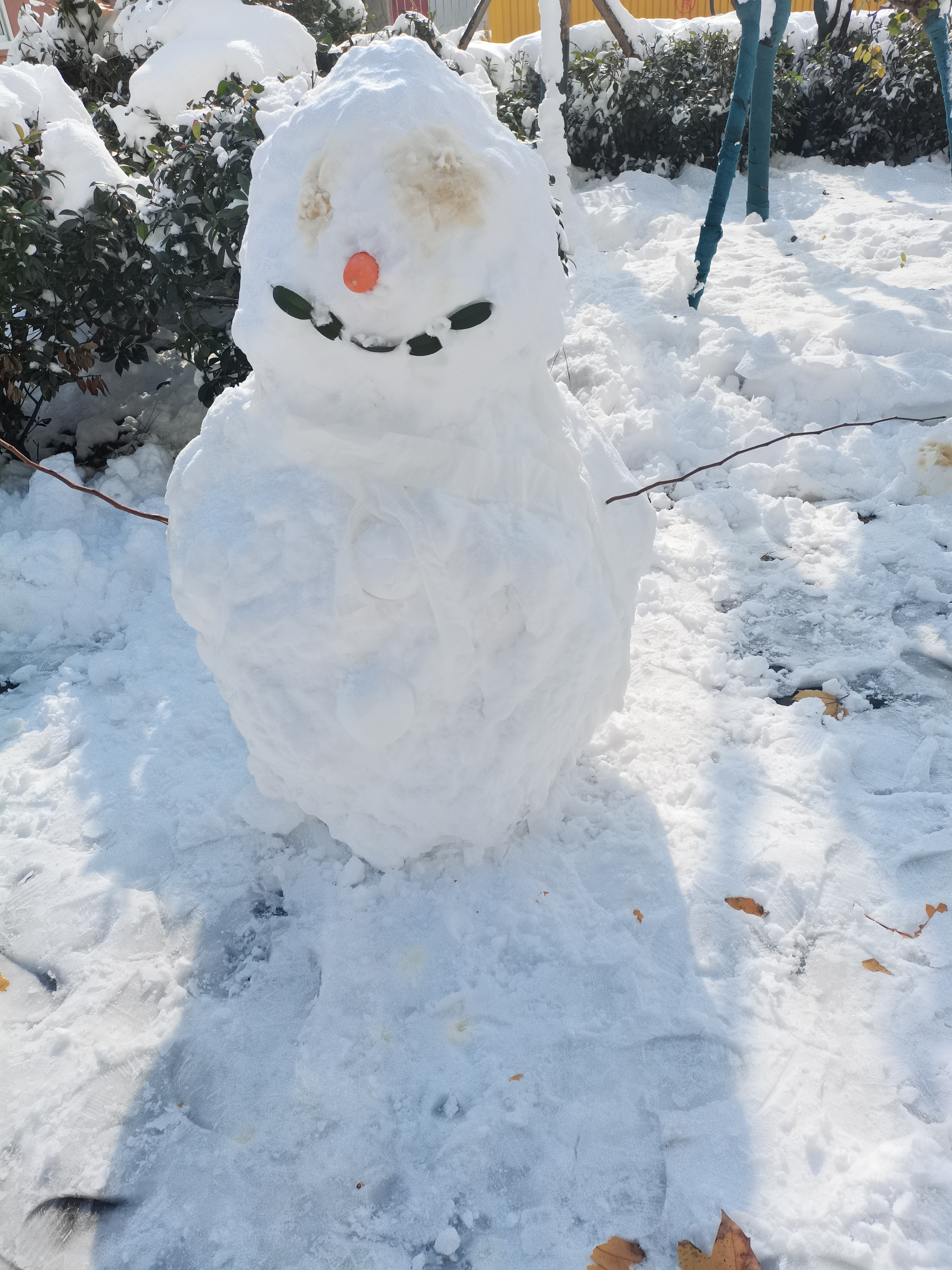 雪人实景图片