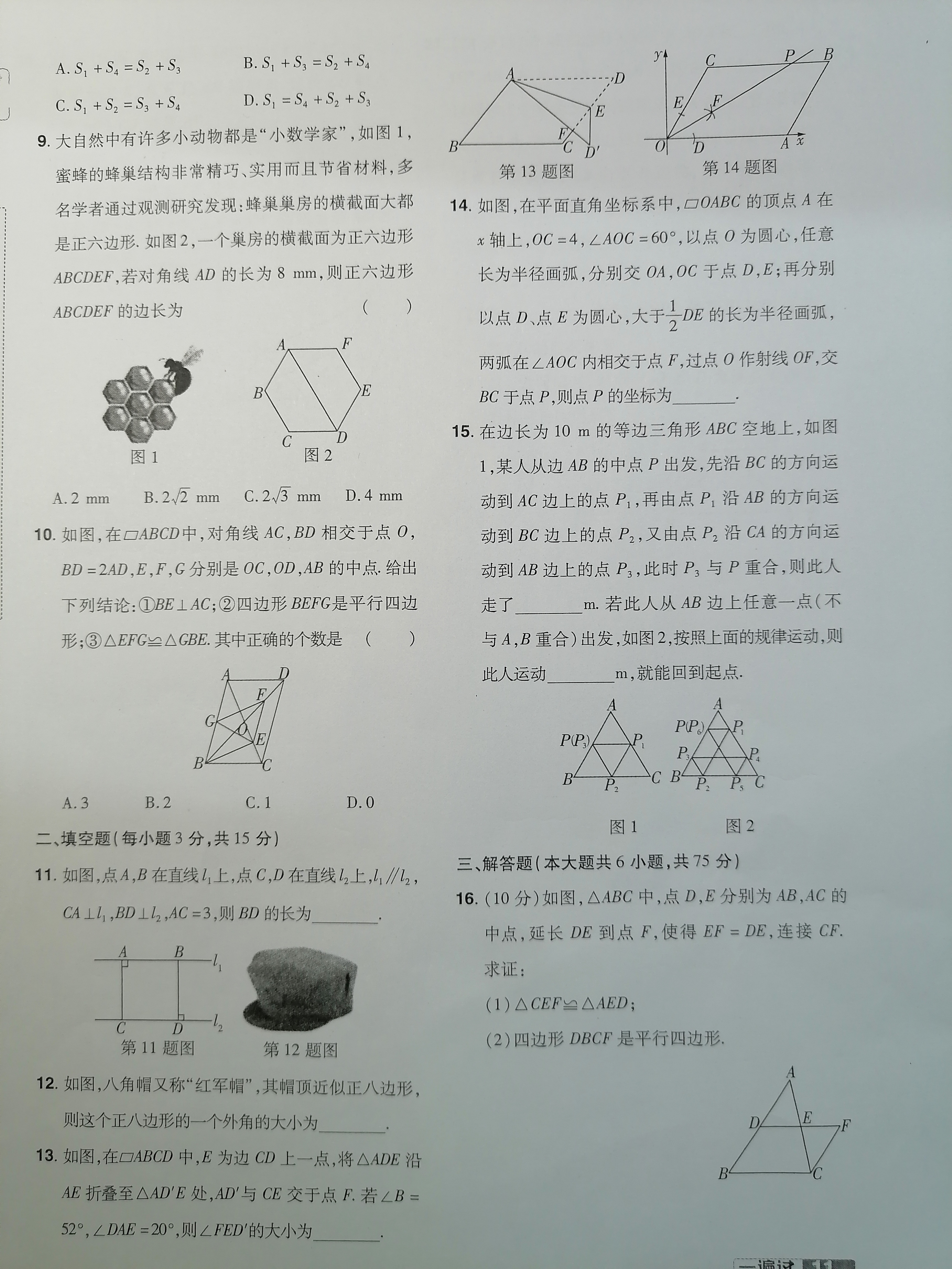 八下数学总复习