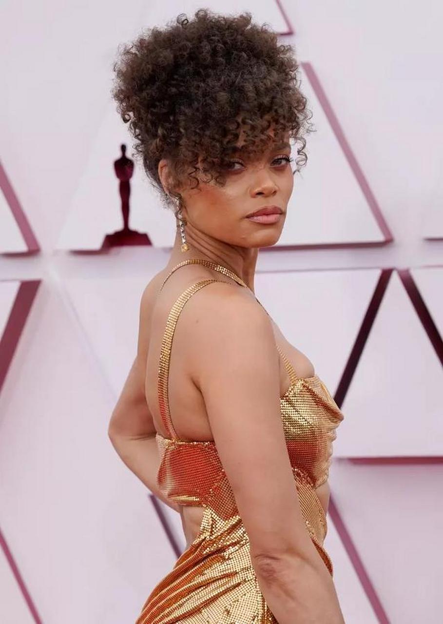 美国歌手安德拉·戴(andra day).