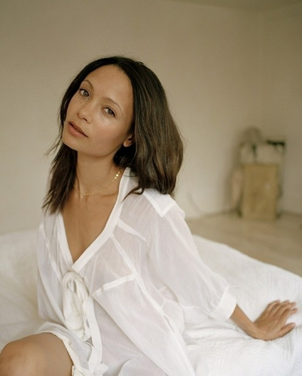 英国女星桑迪·牛顿(thandiwe newton)(五).
