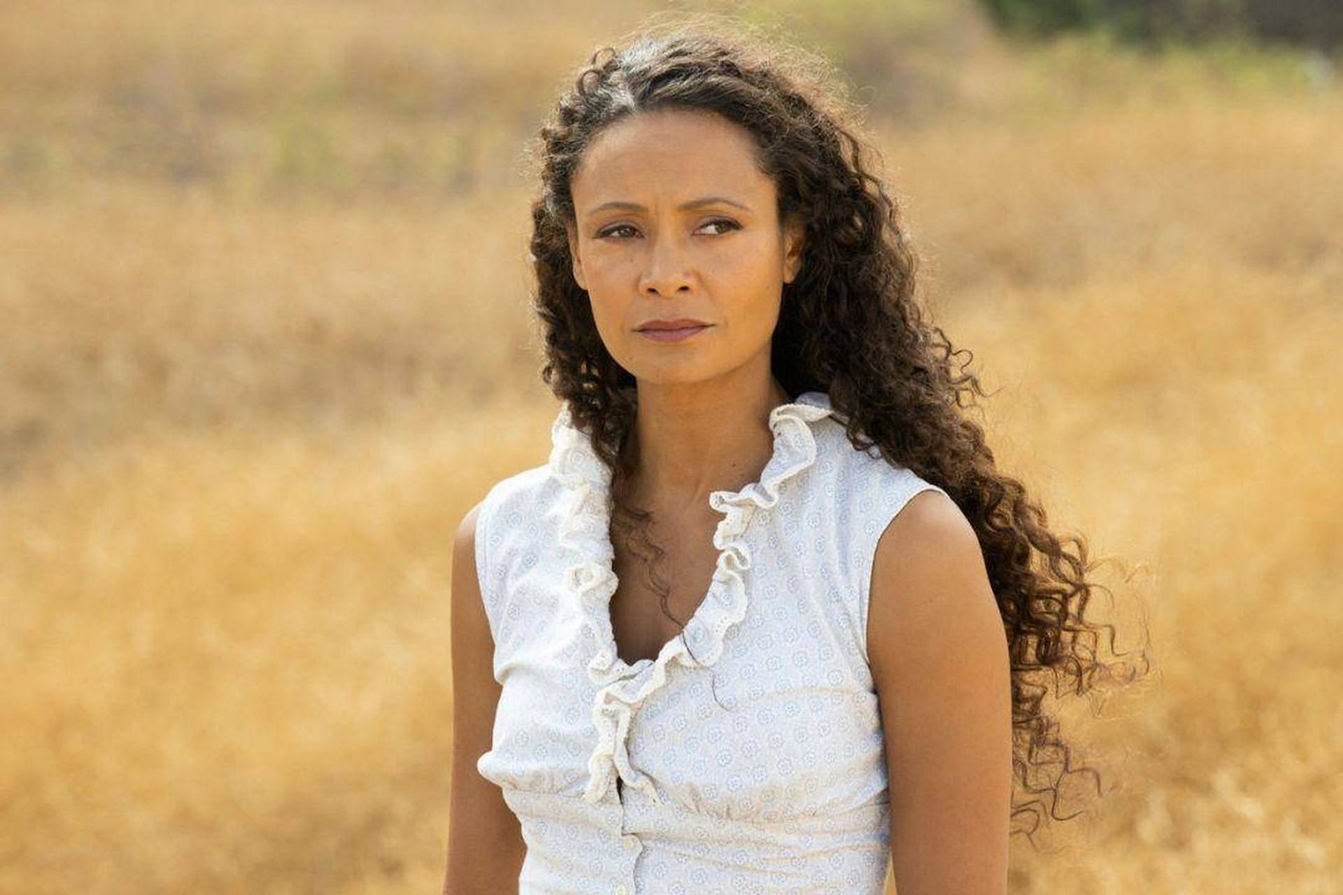 英国女星桑迪·牛顿(thandiwe newton)(二).