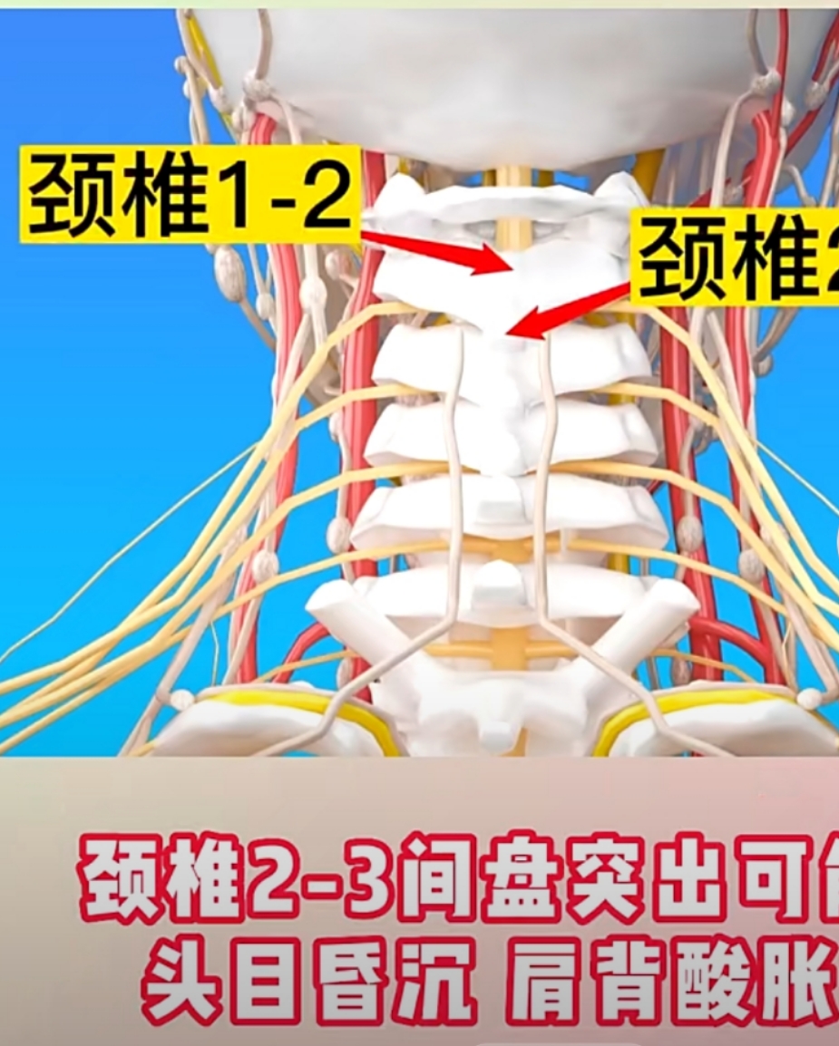 颈椎,各种疾患调理位置